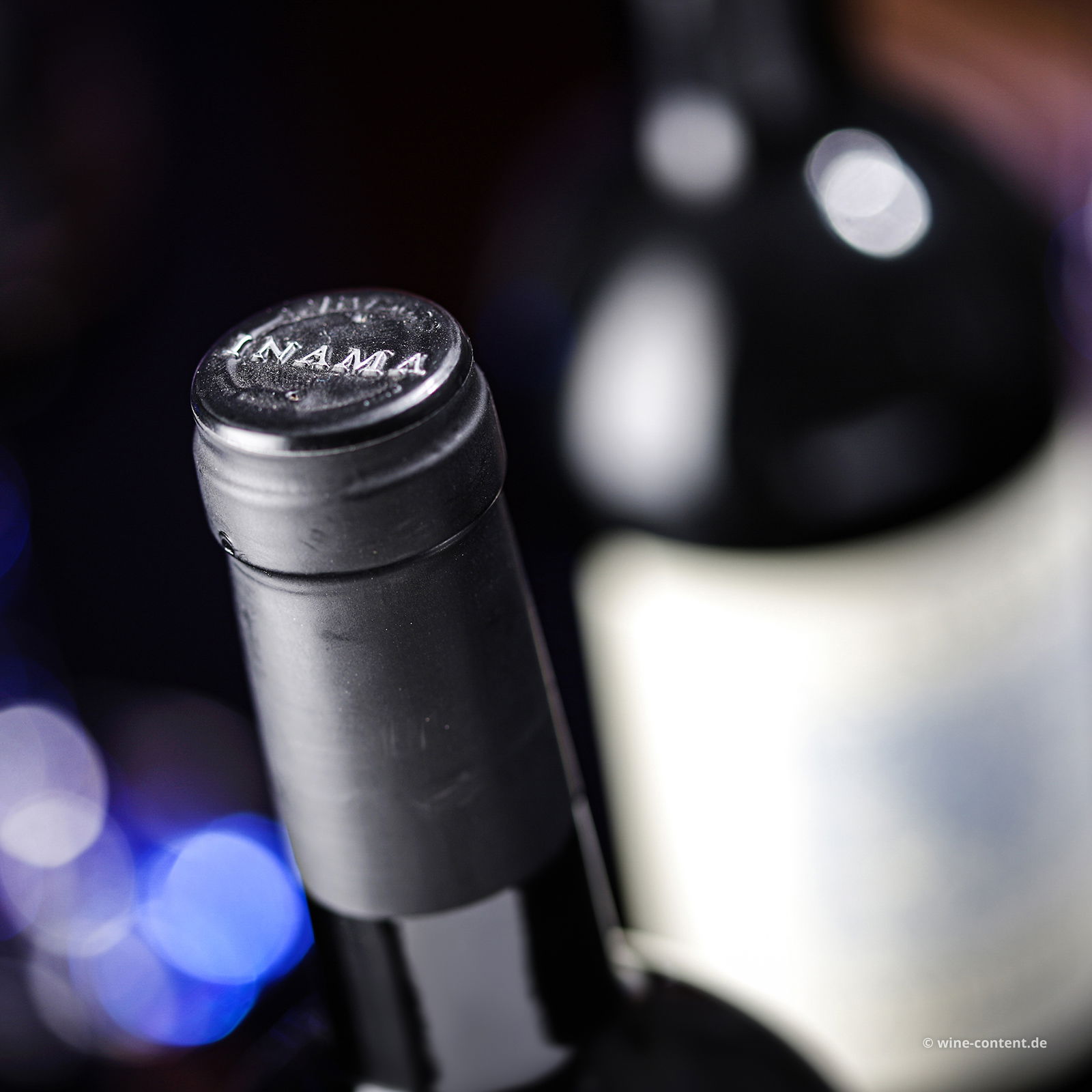 Merlot 2022 Campo del Lago