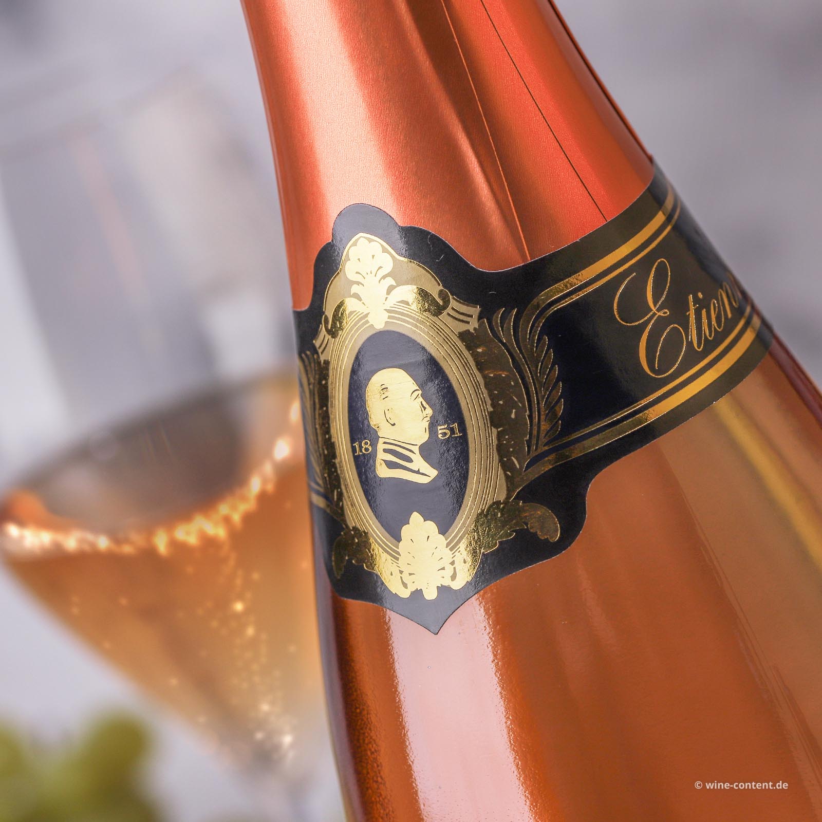 6er-Sparpaket Crémant de Loire Rosé Etienne Brut