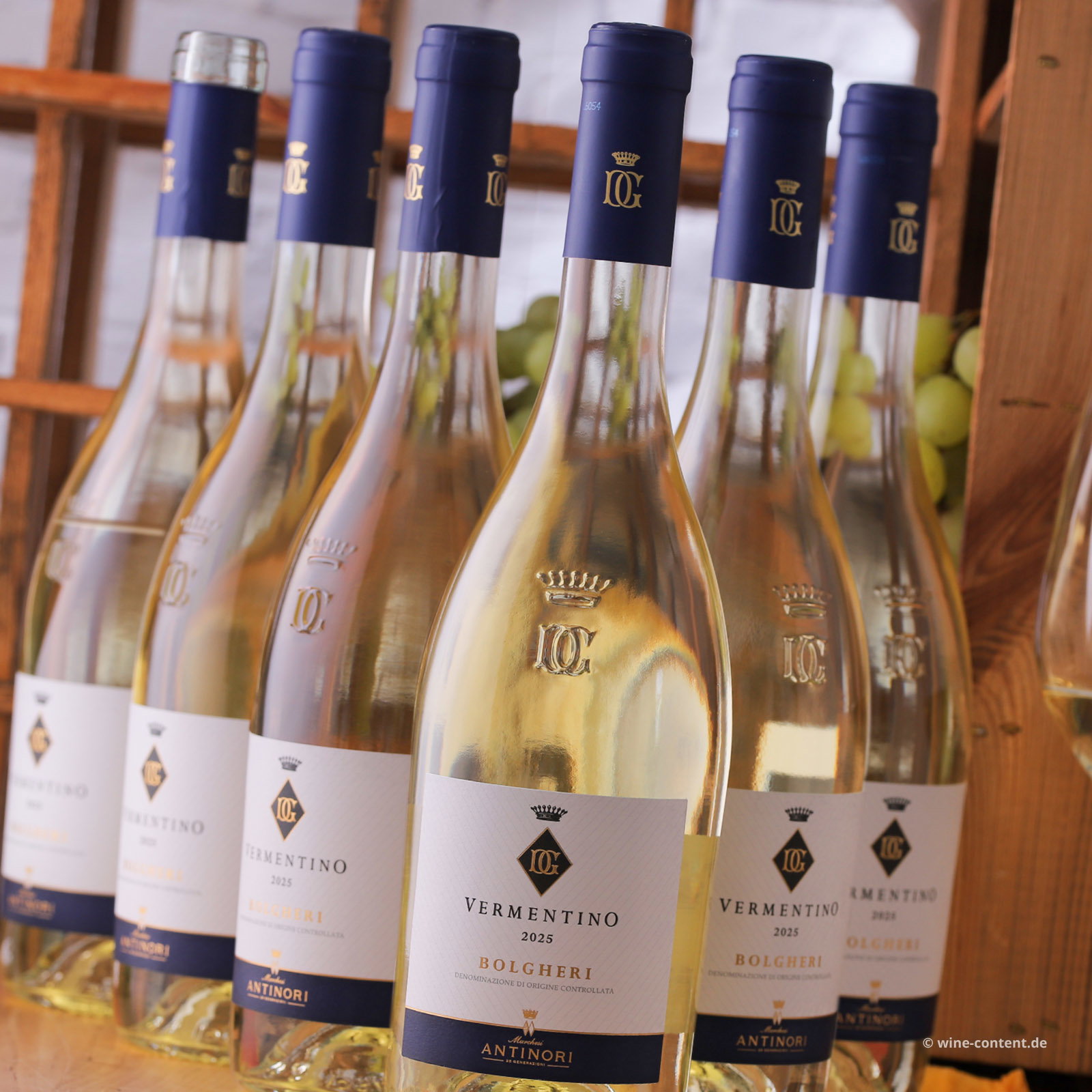6er-Sparpaket Vermentino Bolgheri 2025 Guado al Tasso