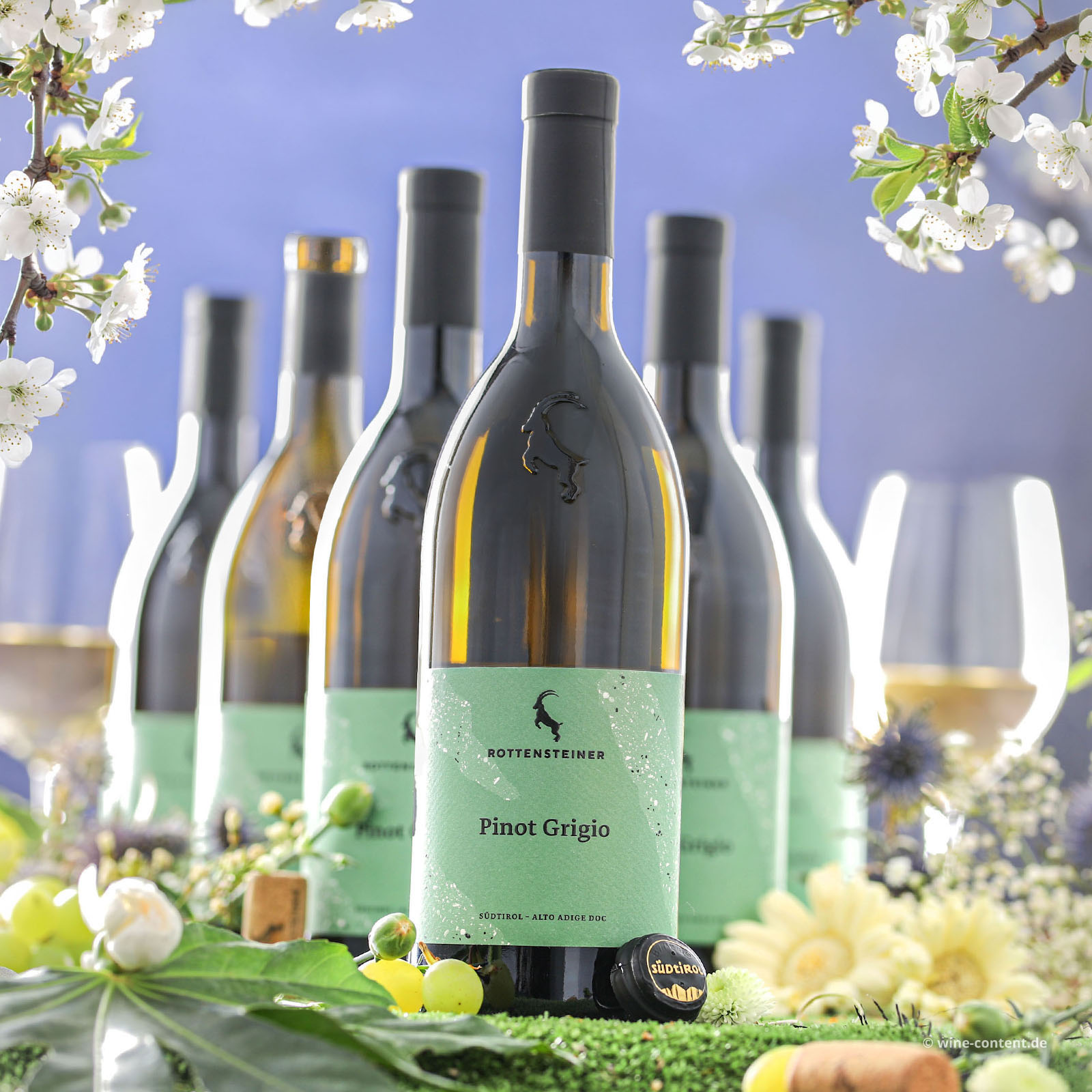 6er-Sparpaket Pinot Grigio 2025