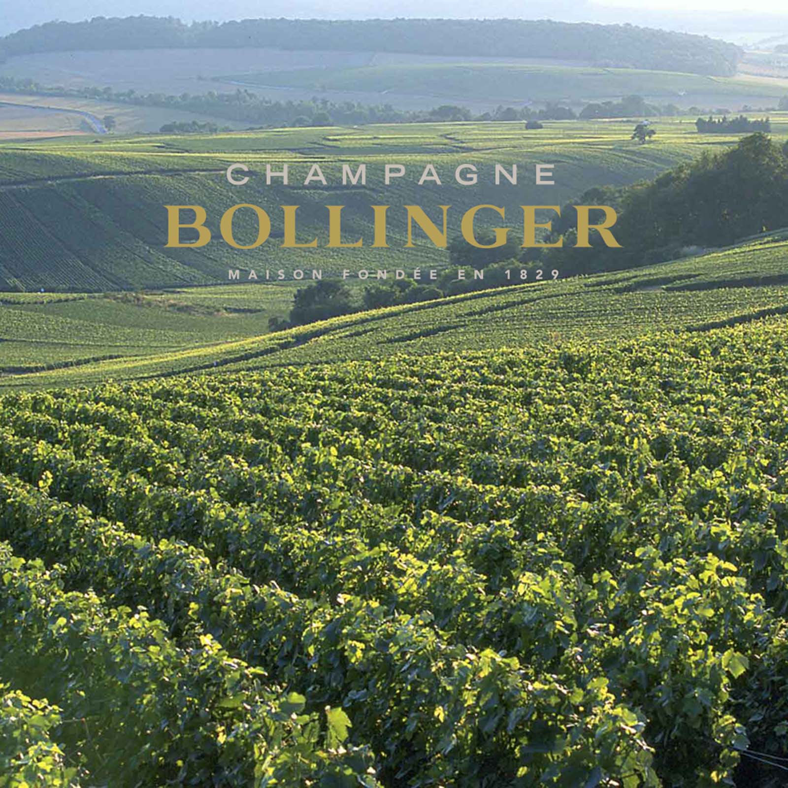 3er-Sparpaket Champagner 2018 La Grande Année Brut