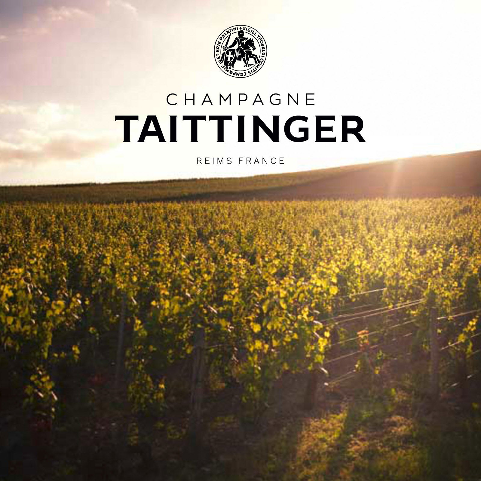 Champagner Rosé 2012 Comtes de Champagne Brut