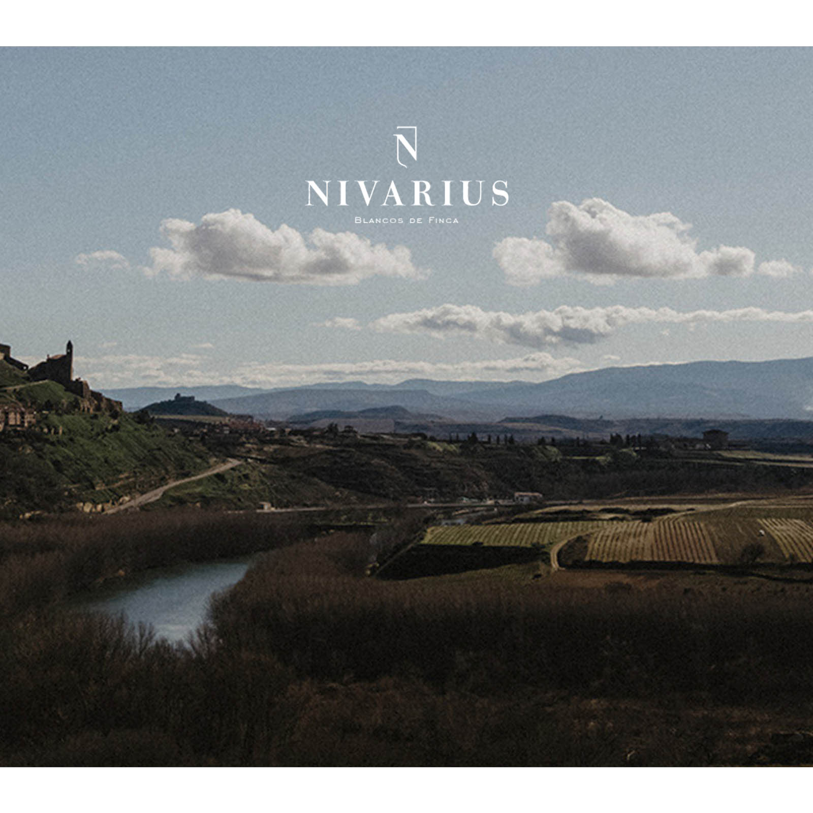 Rioja Blanco 2017 Finca La Nevera