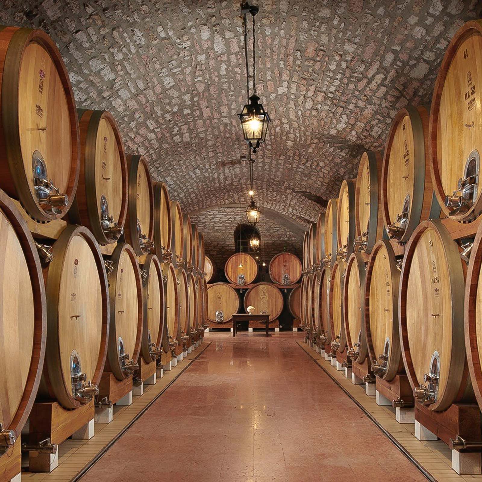 6er-Holzkiste Valpolicella Ripasso Classico Superiore 2021 Catullo