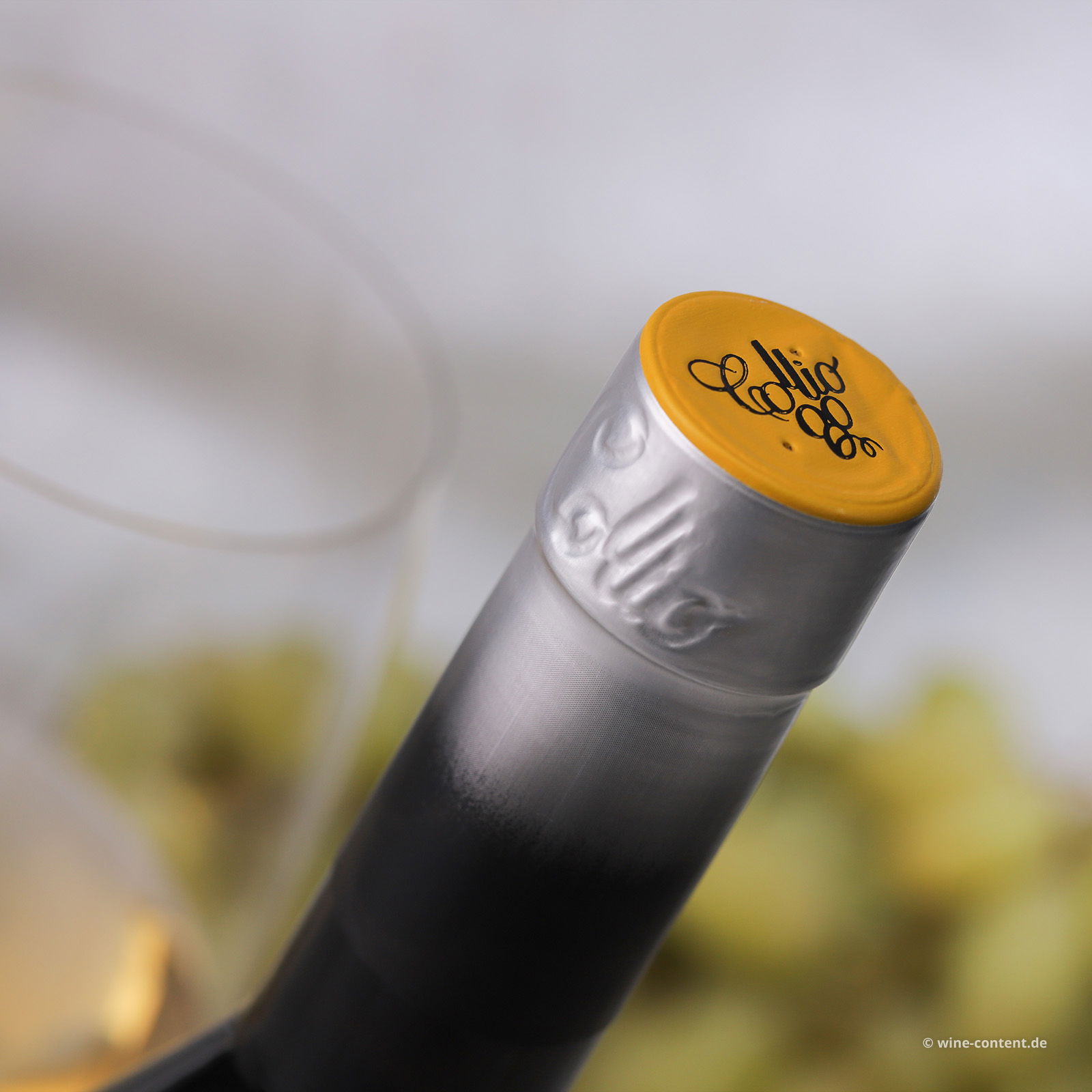 Pinot Grigio Collio 2024