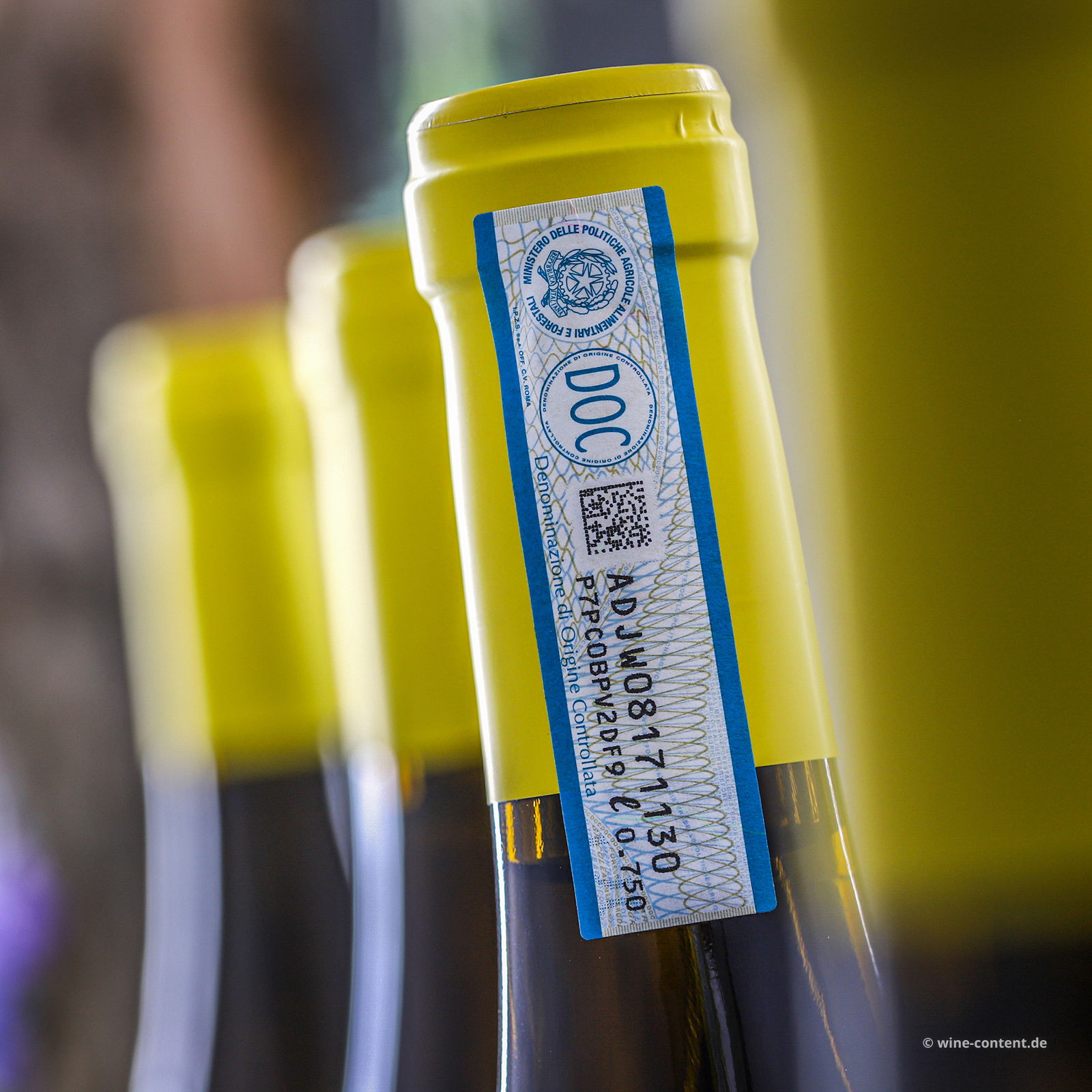 6er-Sparpaket Grillo Sicilia 2024 Passiperduti