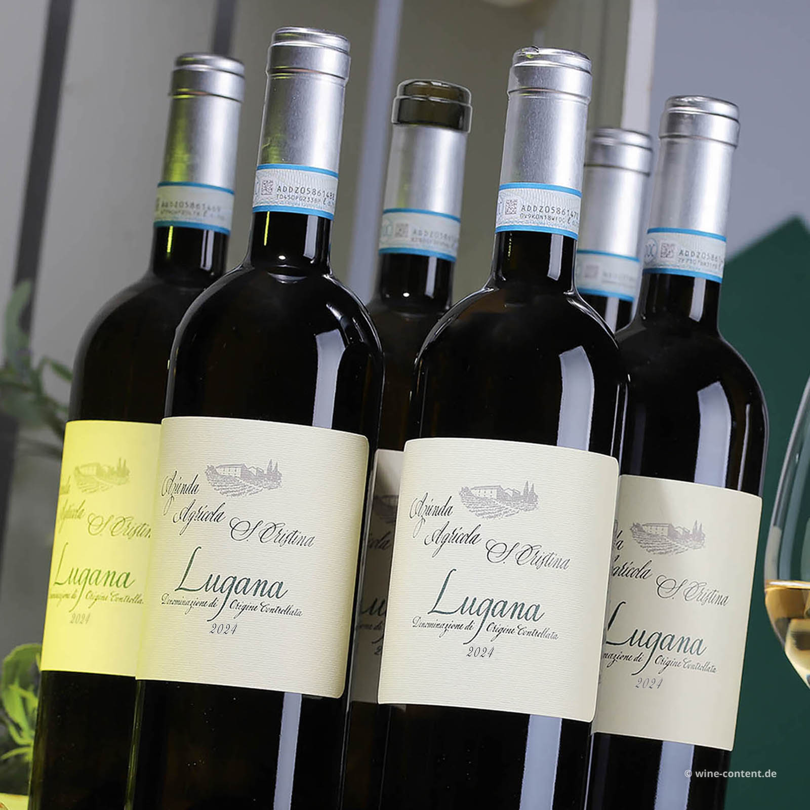 6er-Sparpaket Lugana 2024 Santa Cristina