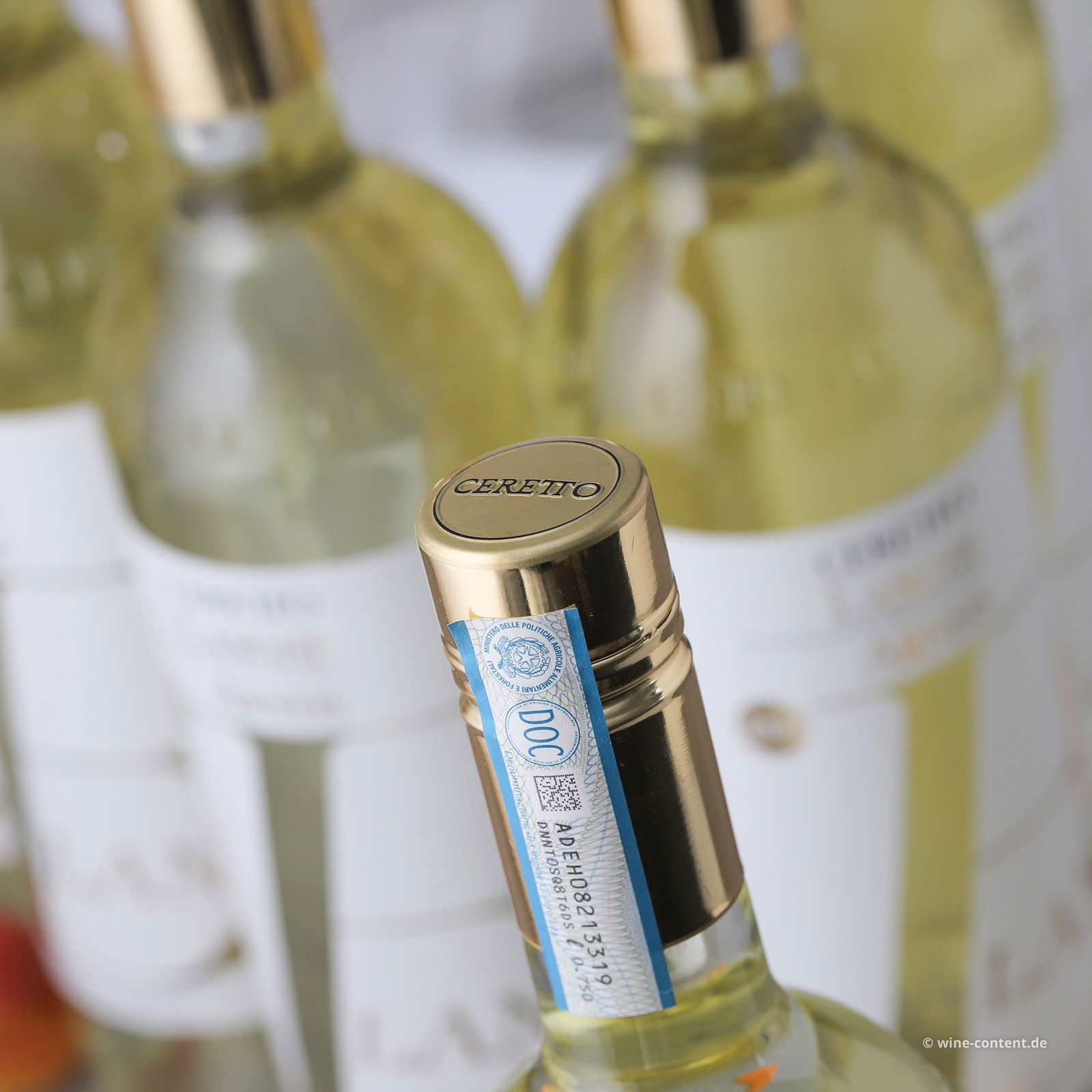 9er-Sparpaket Arneis Langhe 2024 Blangé