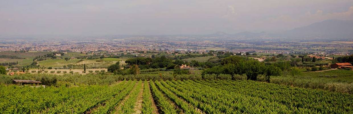 Poggio le Volpi