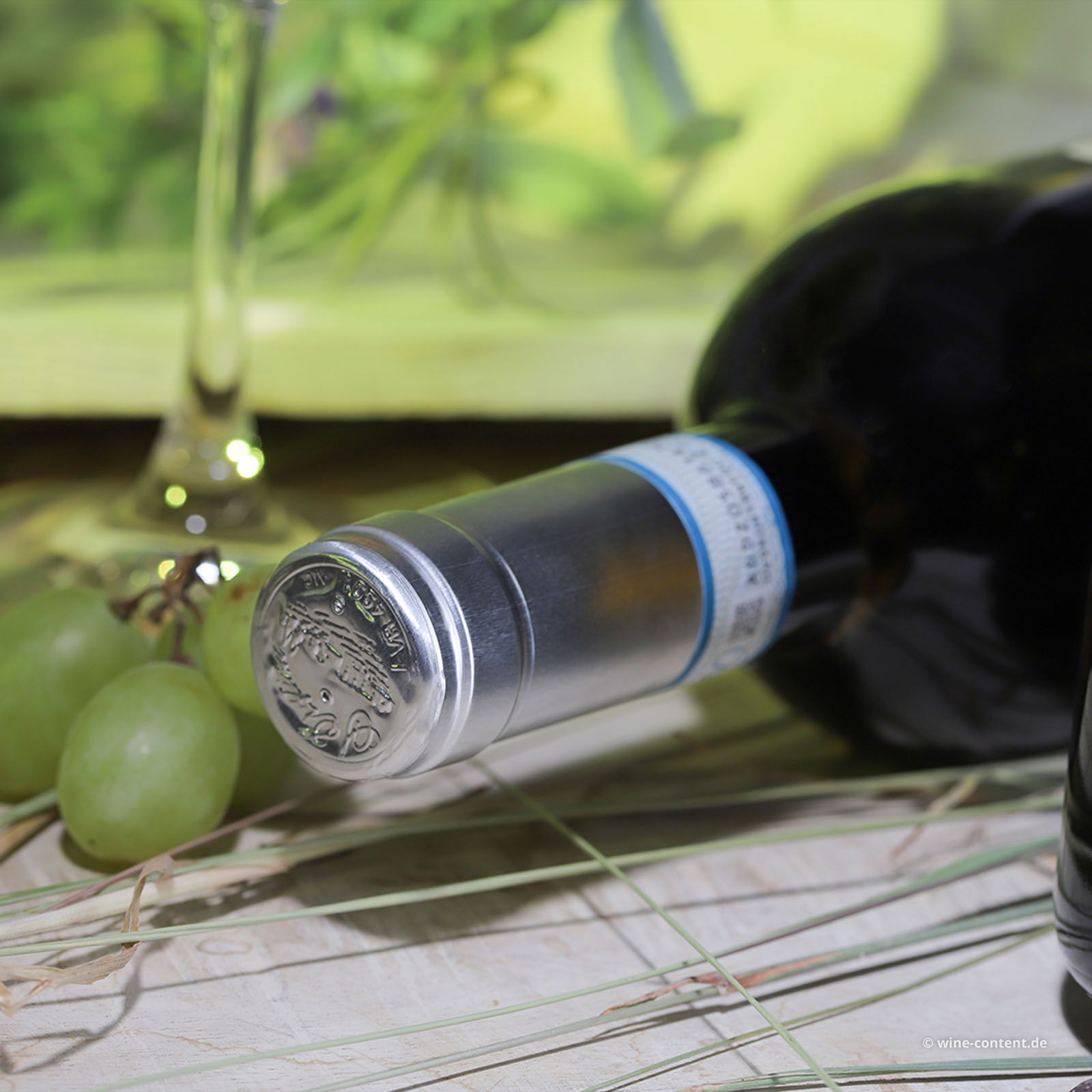 Lugana 2024 Santa Cristina Lugana 2024 Santa Cristina