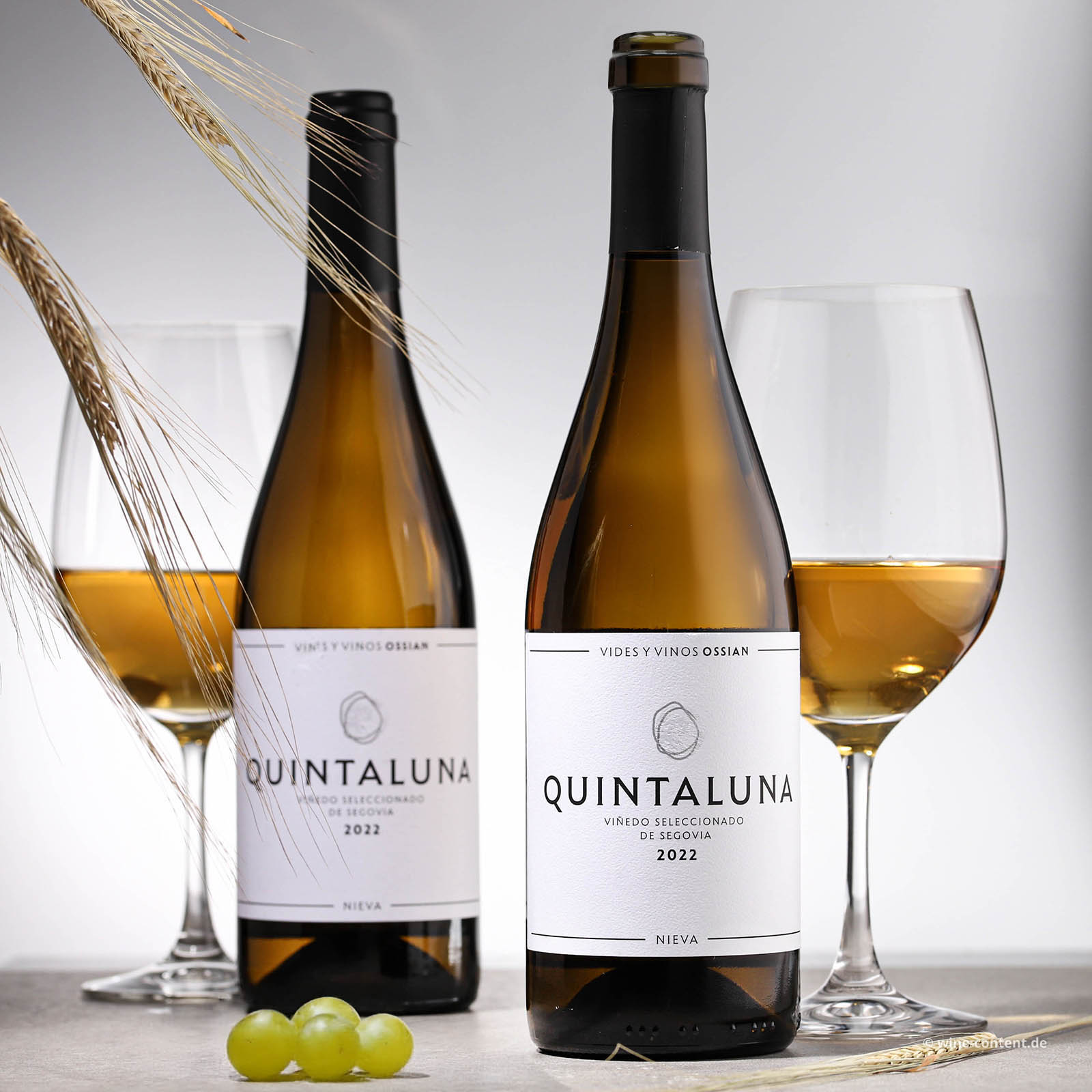 Verdejo 2022 Quintaluna
