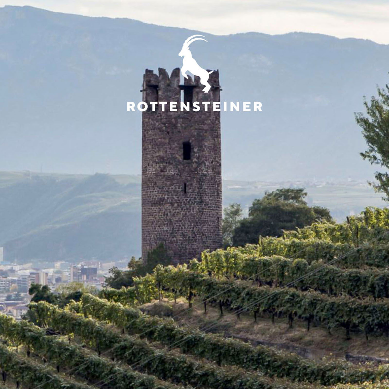 Lagrein Riserva 2022 Trigon (Lagerschaden)