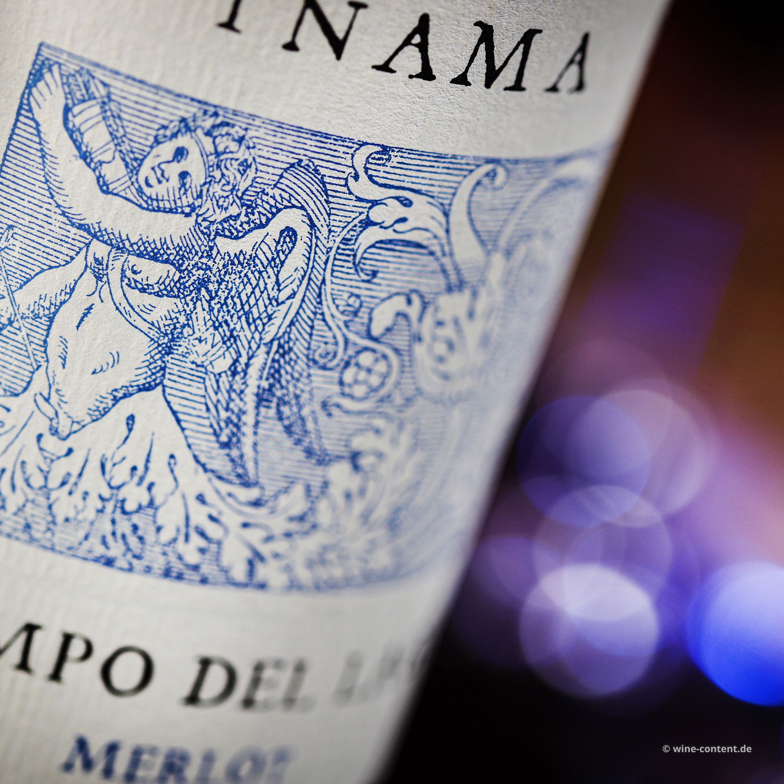 Merlot 2022 Campo del Lago