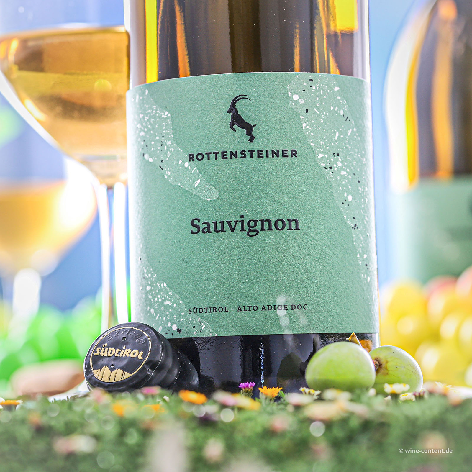 Sauvignon Blanc 2025