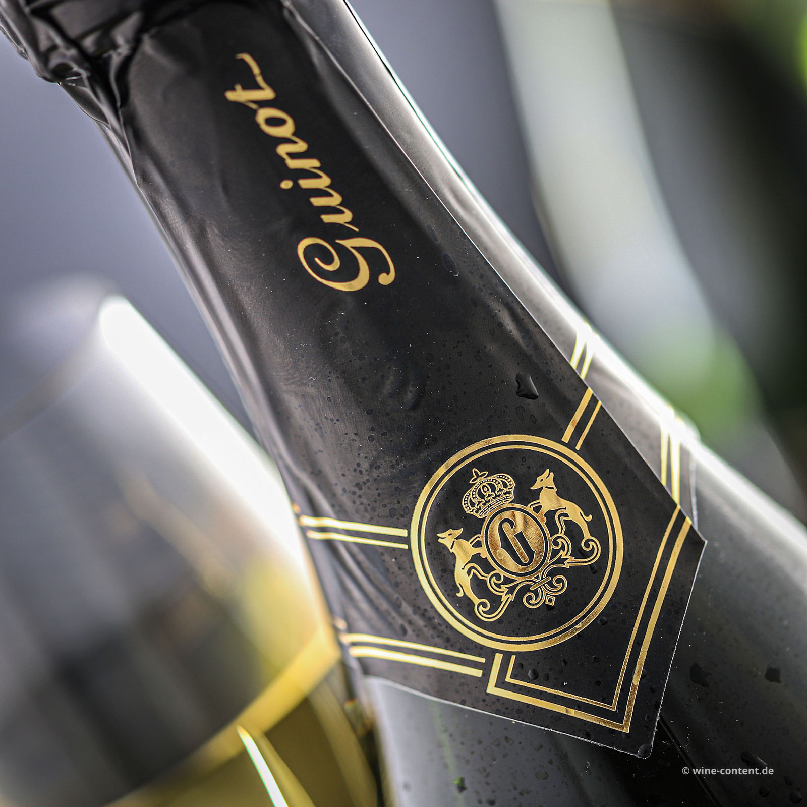 Blanquette de Limoux Vieille Cuvée Brut