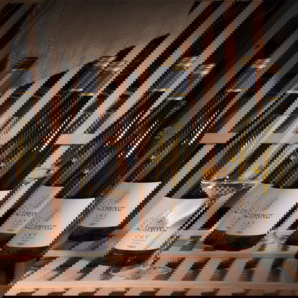 6er-Sparpaket Riesling 2024 Lay Alte Reben