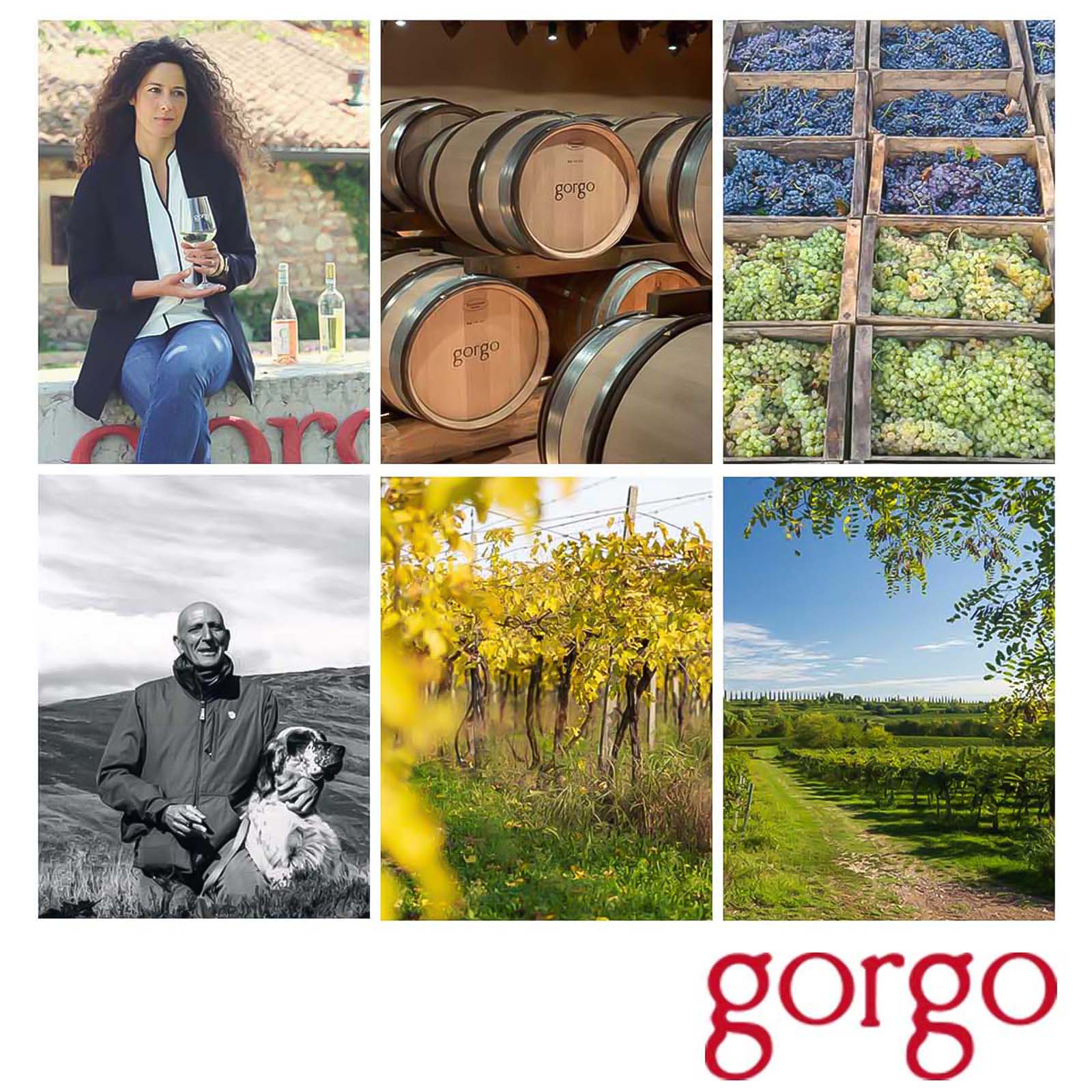 Custoza 2025 San Michelin Bio