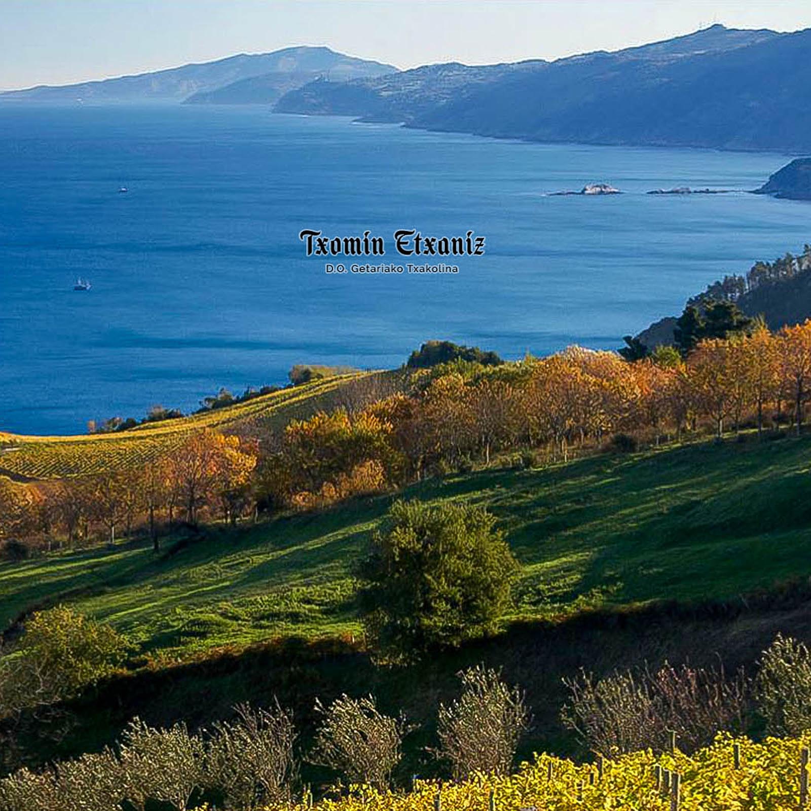 Txakoli Rosado 2024