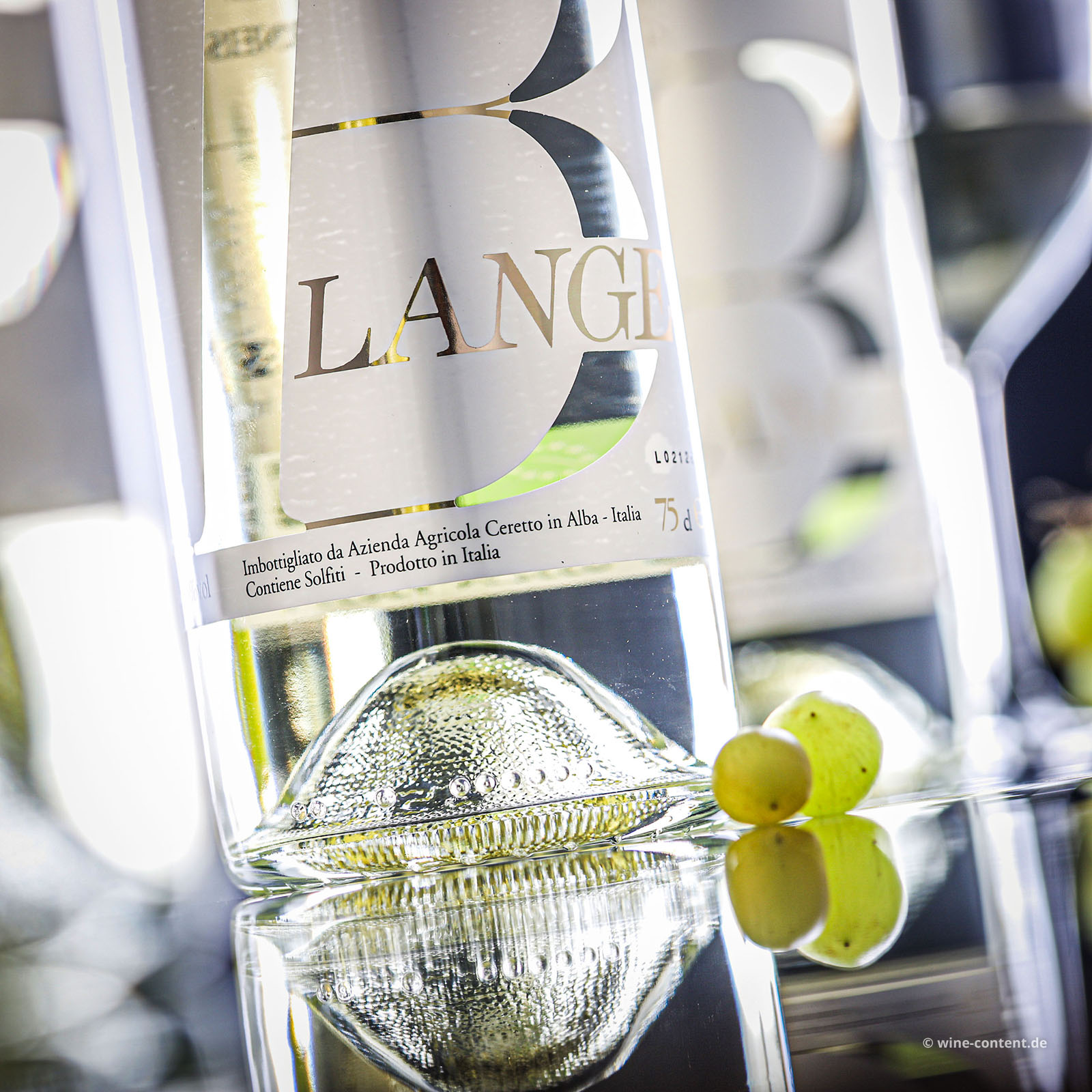 6er-Sparpaket Arneis Langhe 2025 Blangé
