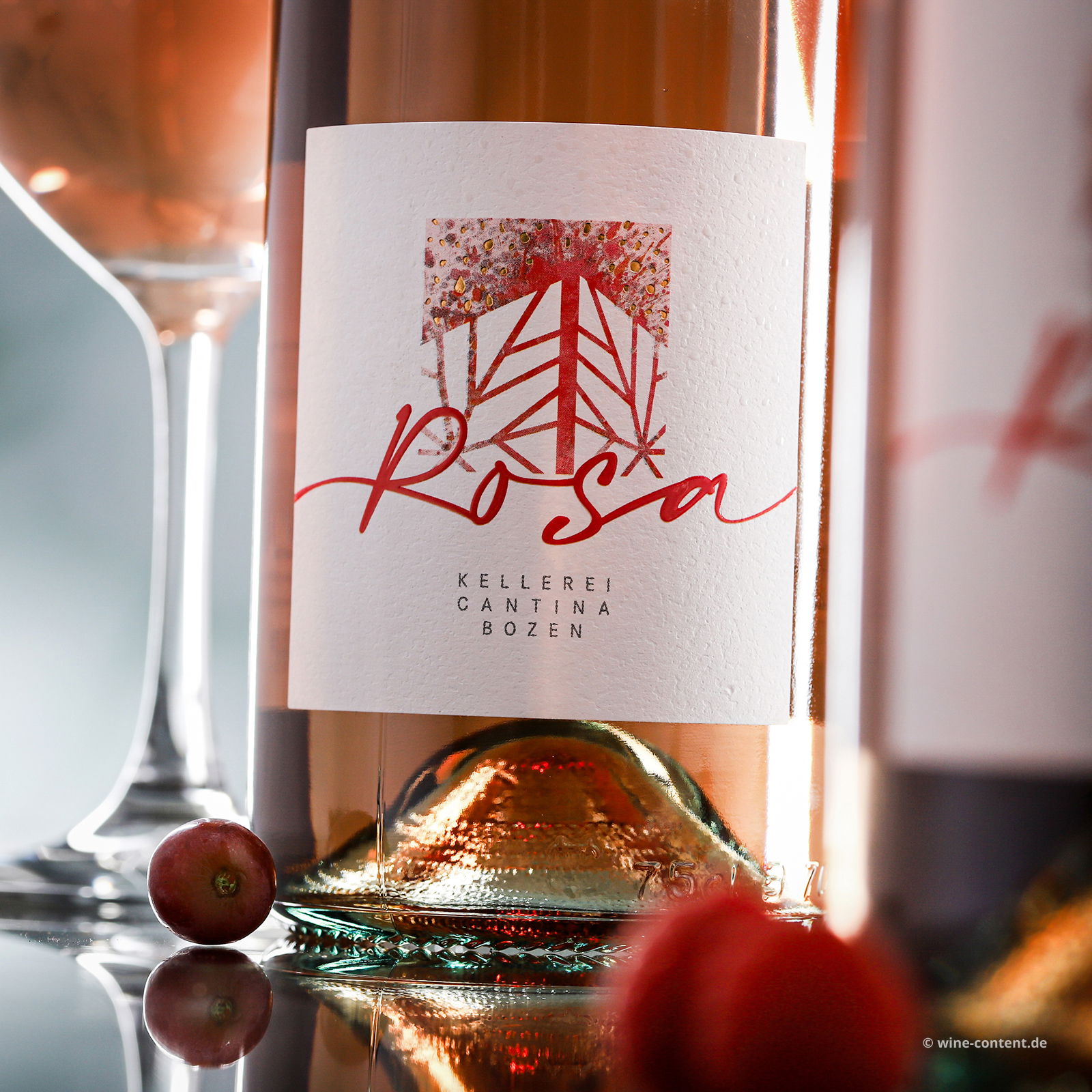 Rosa 2024