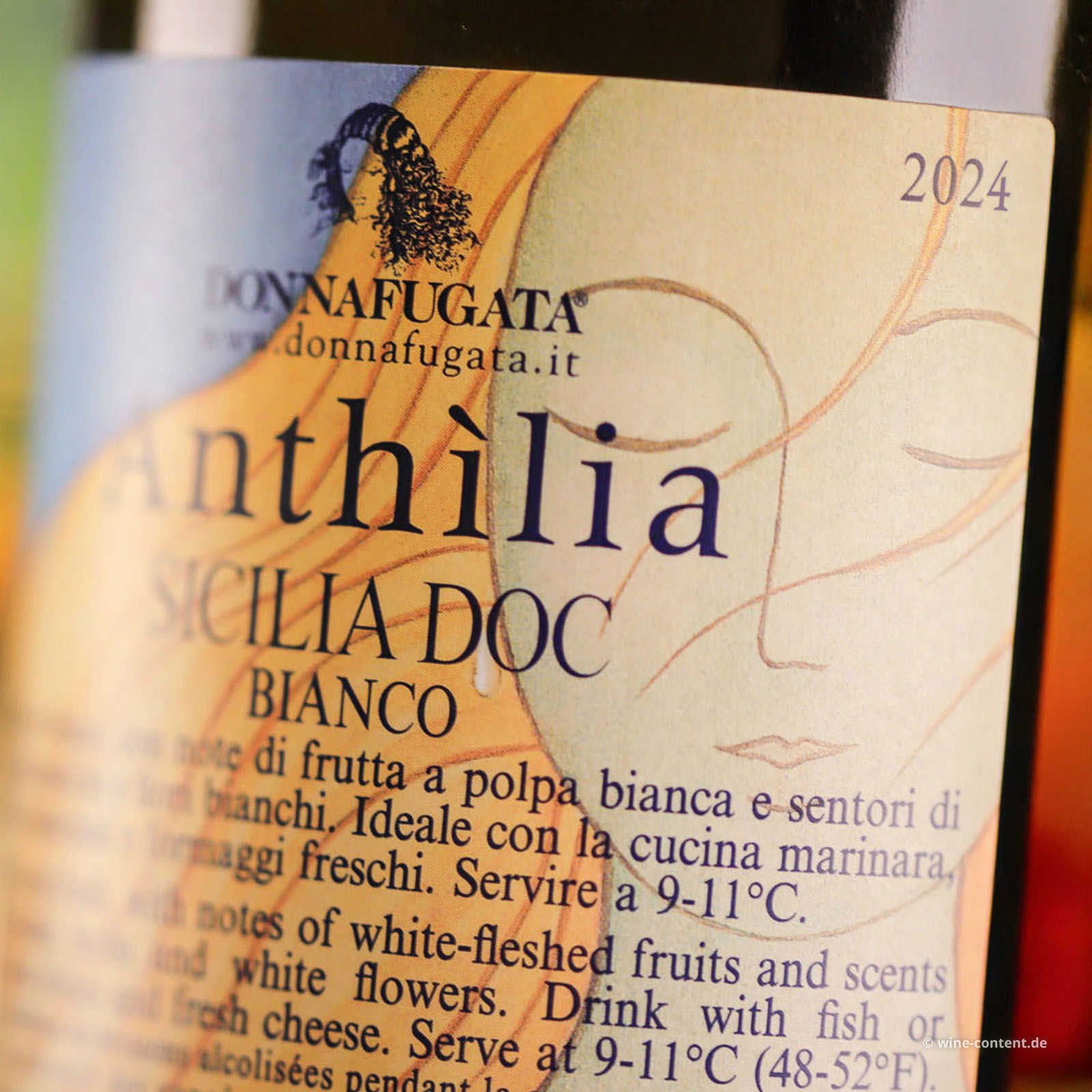9er-Sparpaket Sicilia Bianco 2024 Anthilia