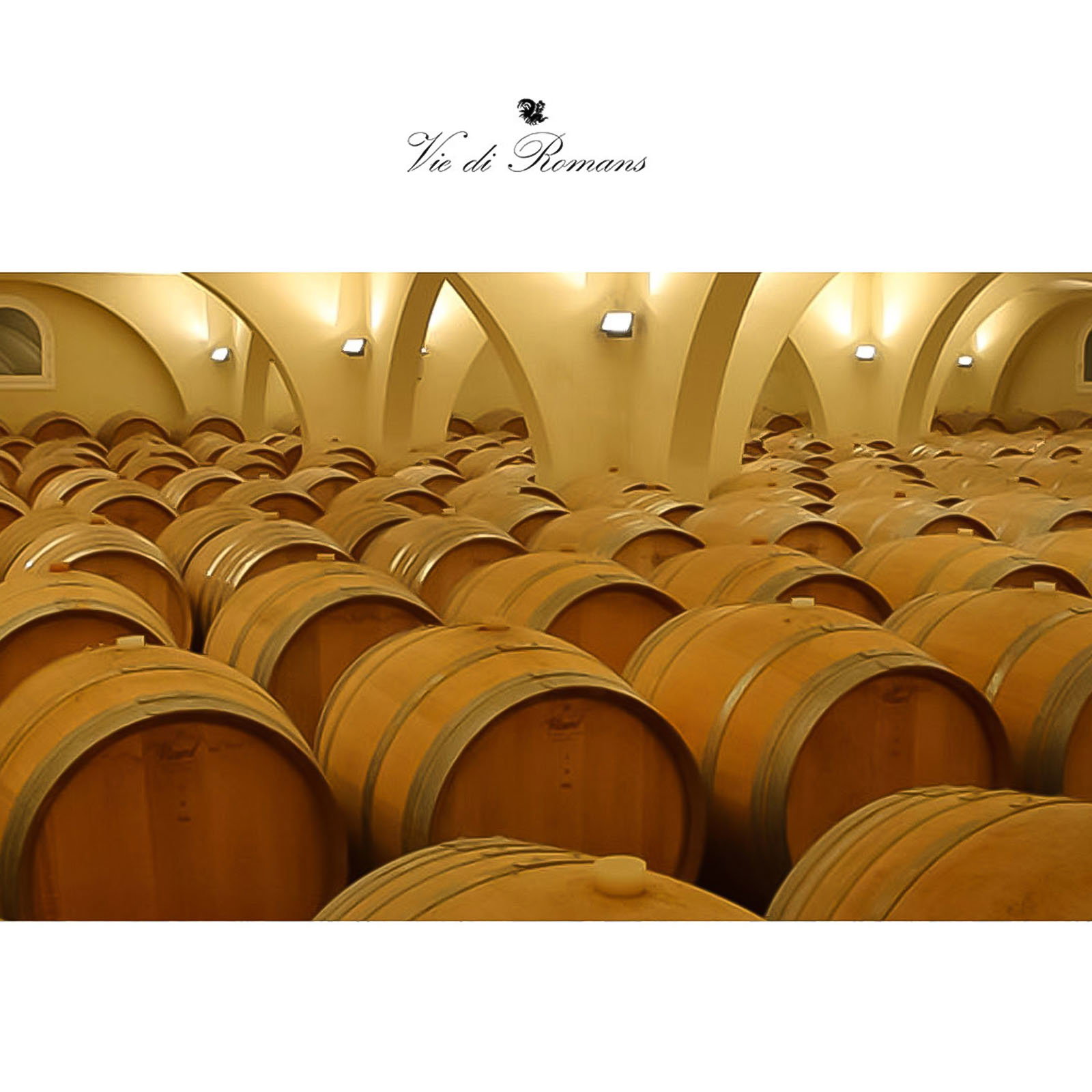 Chardonnay 2024 Ciampagnis