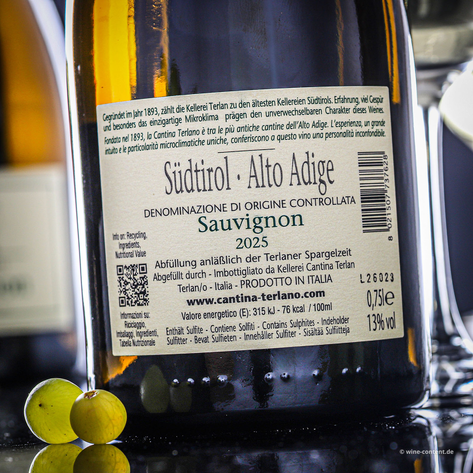 Sauvignon Blanc 2025