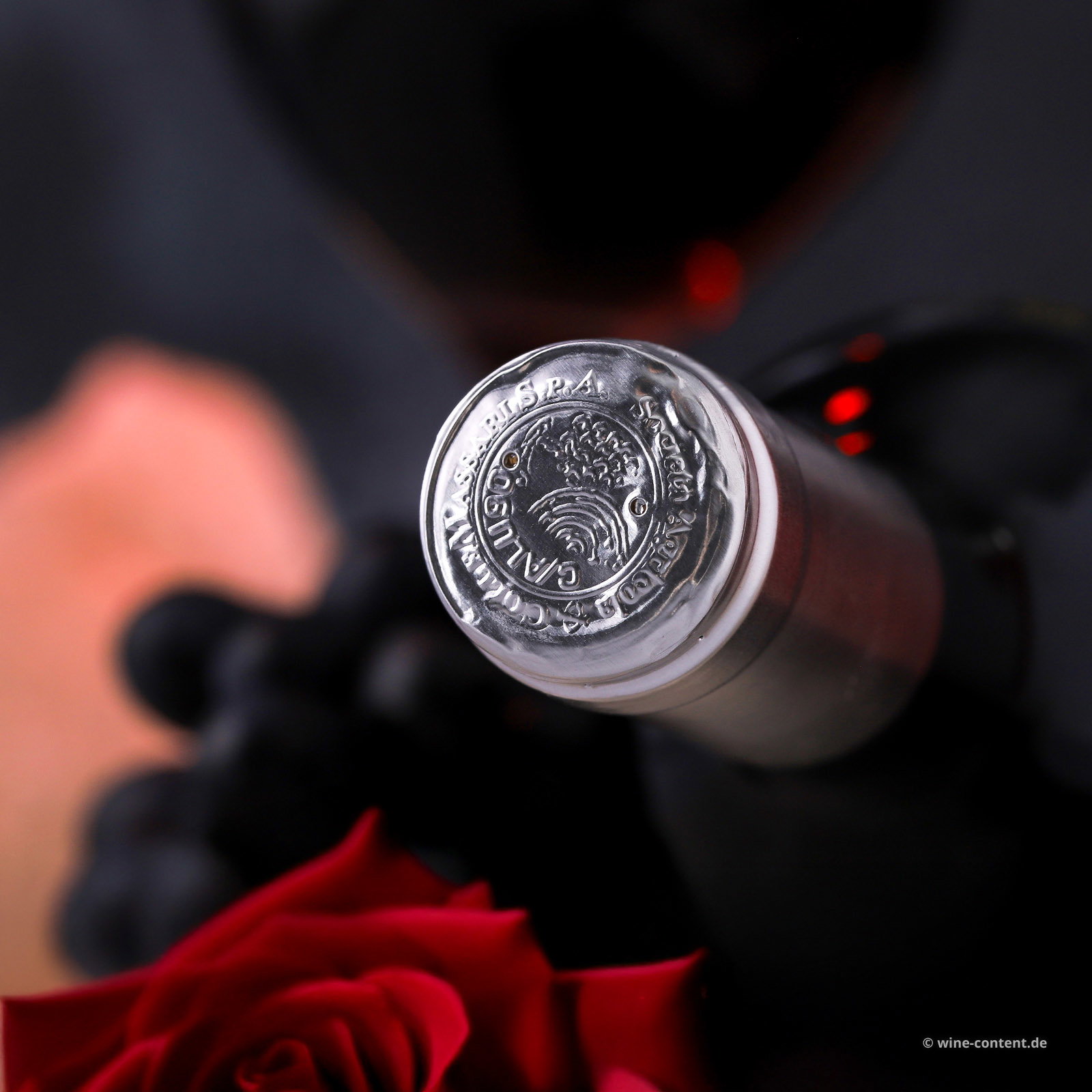 Bolgheri Rosso 2024 Bio