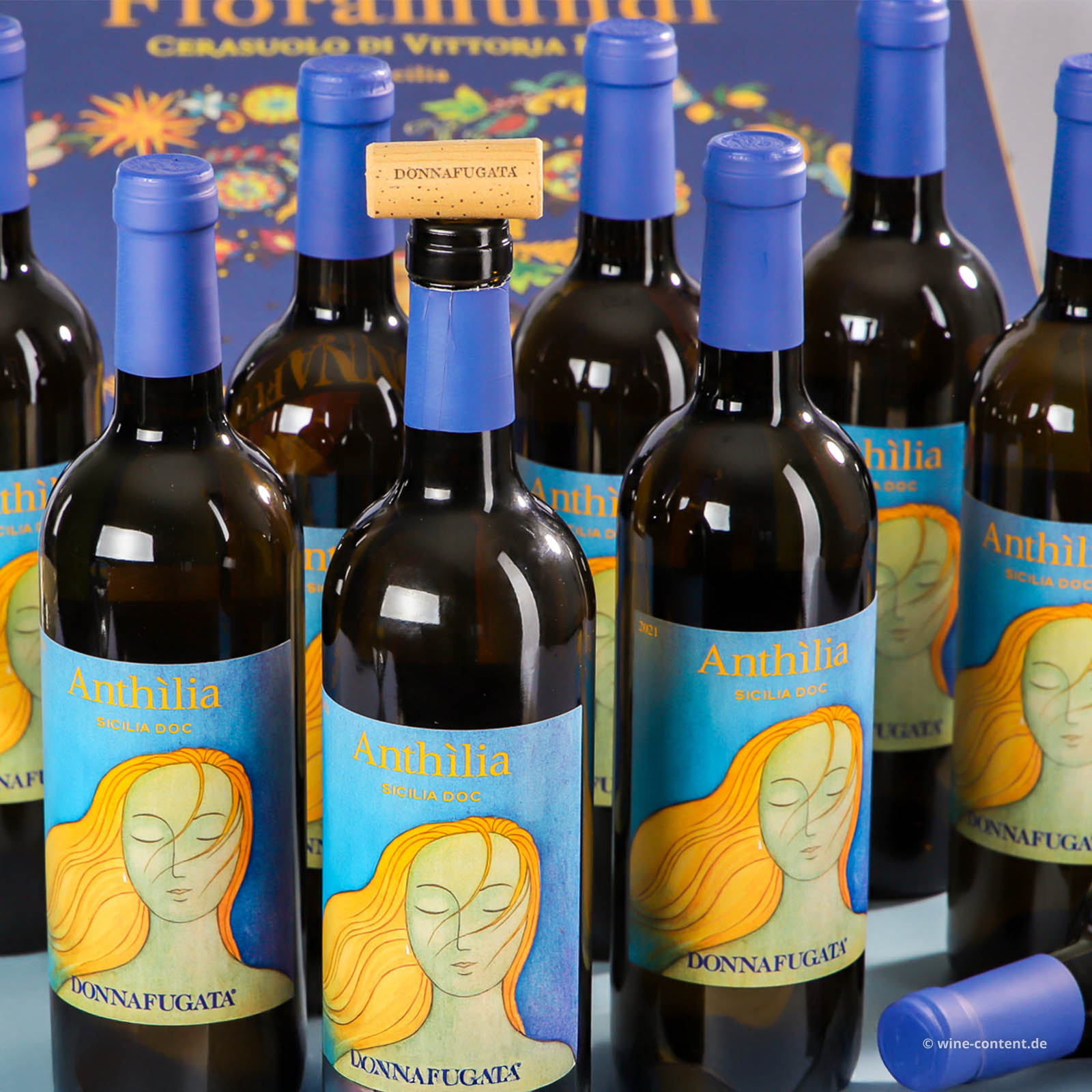 9er-Sparpaket Sicilia Bianco 2024 Anthilia
