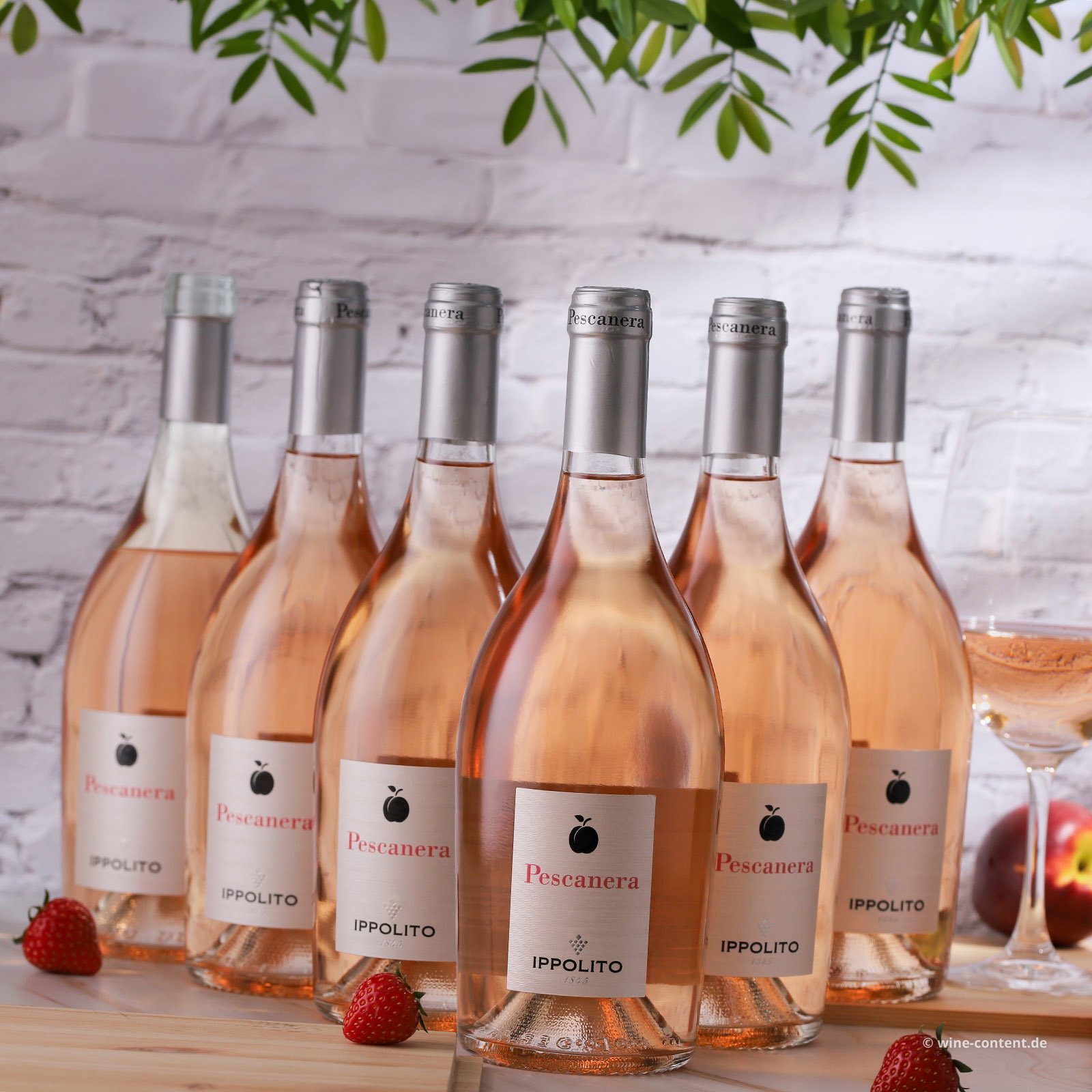 6er-Sparpaket Calabria Rosé 2025 Pescanera