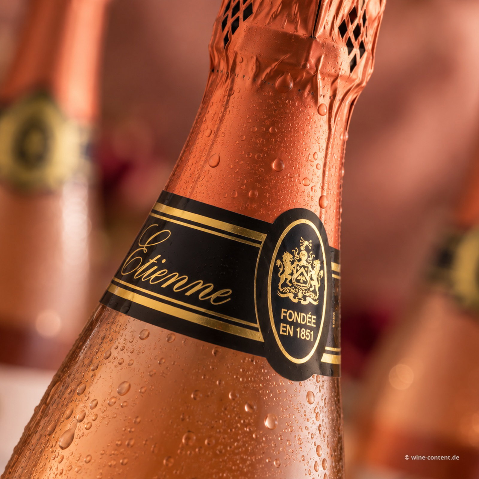 6er-Sparpaket Crémant de Loire Rosé Etienne Brut