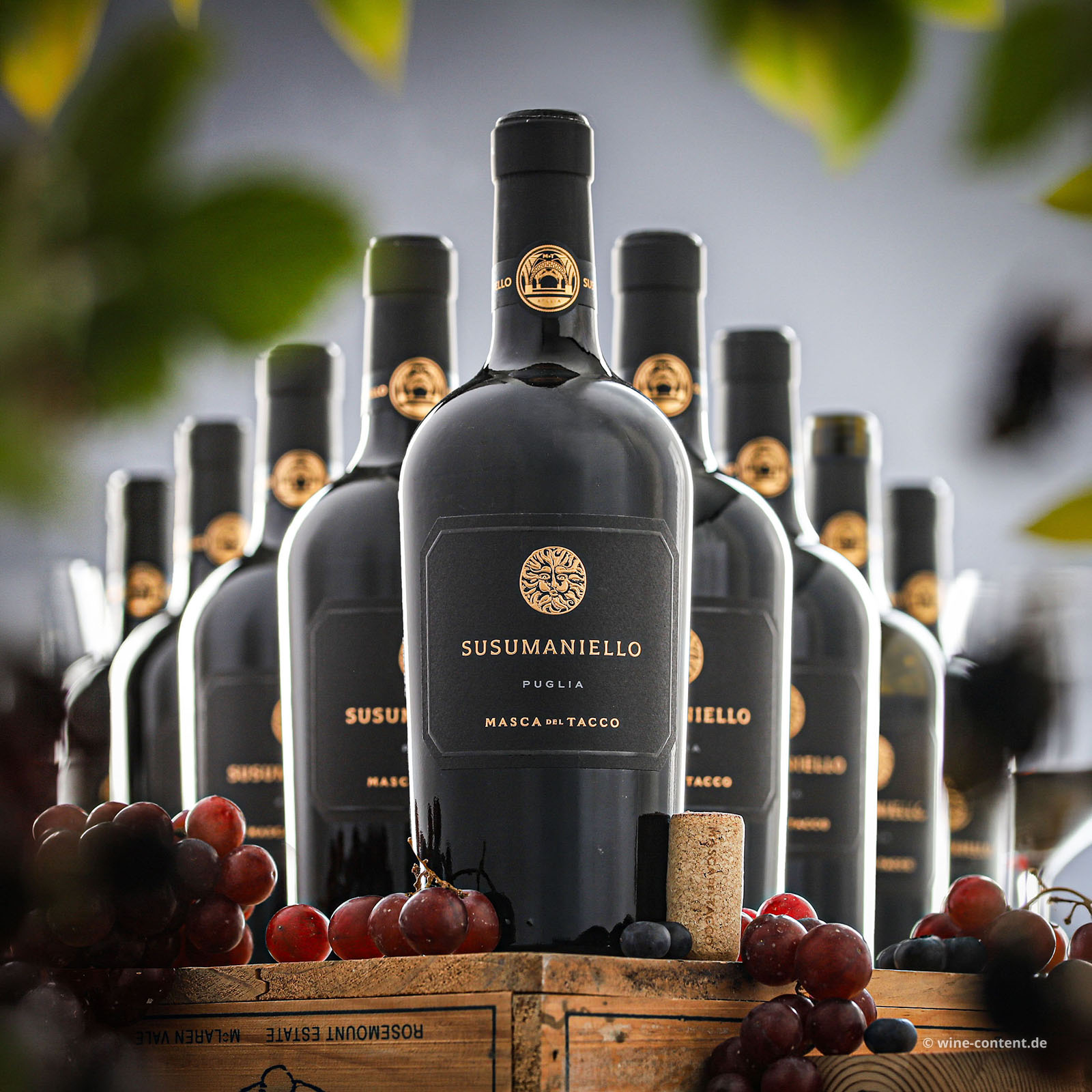 9er-Sparpaket Susumaniello 2025