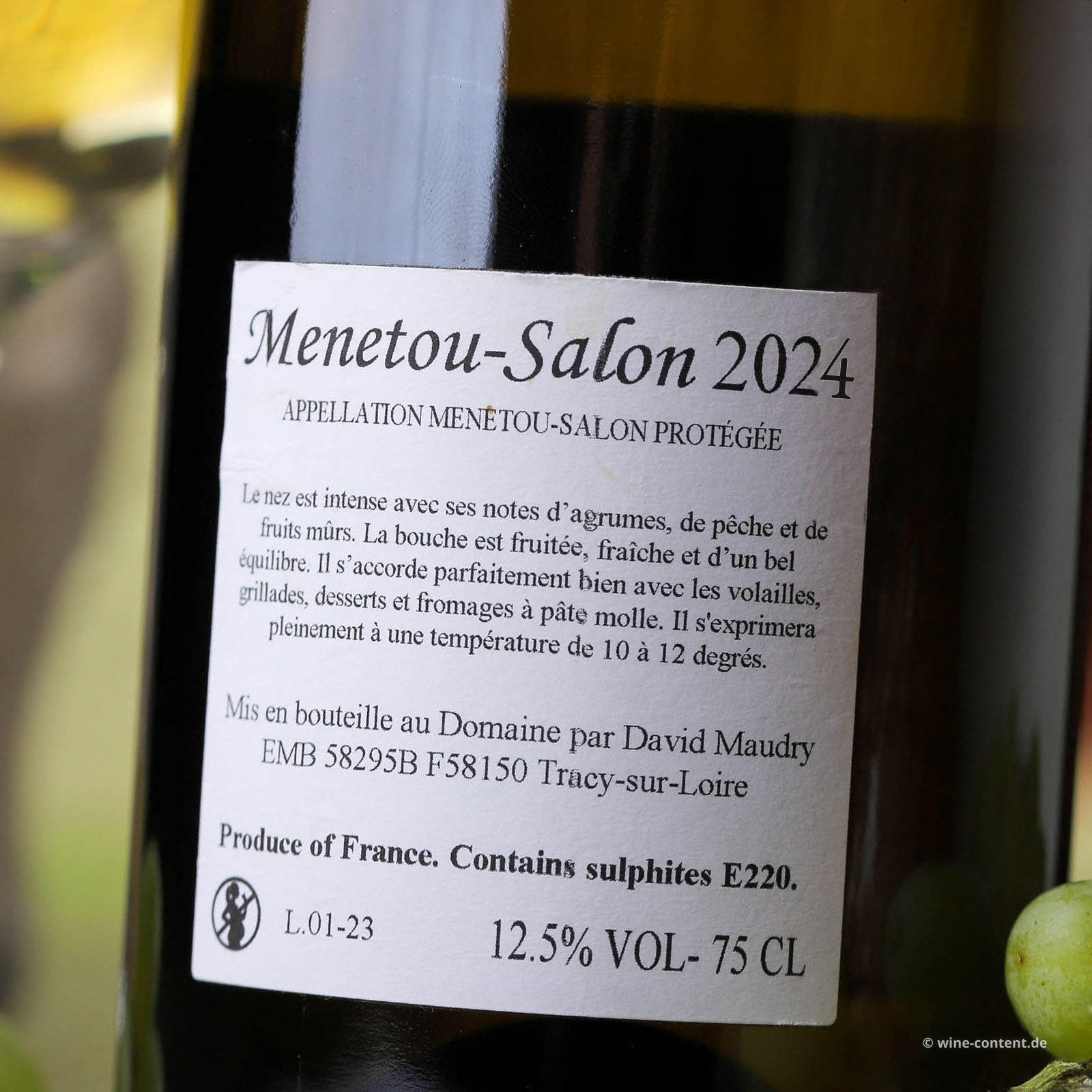 Menetou-Salon 2024