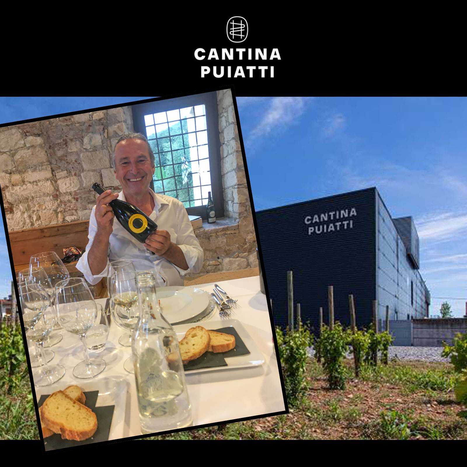 6er-Sparpaket Pinot Grigio 2025