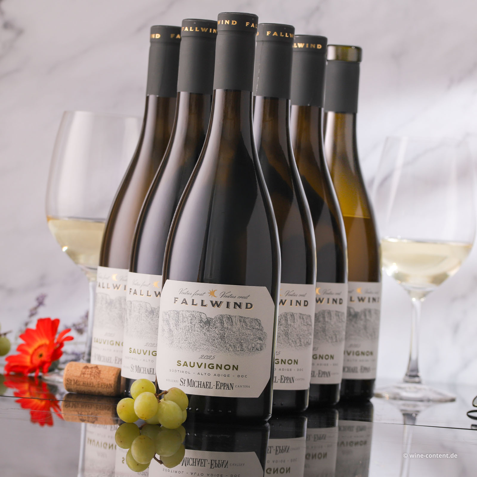 6er-Sparpaket Sauvignon Blanc 2025 Fallwind