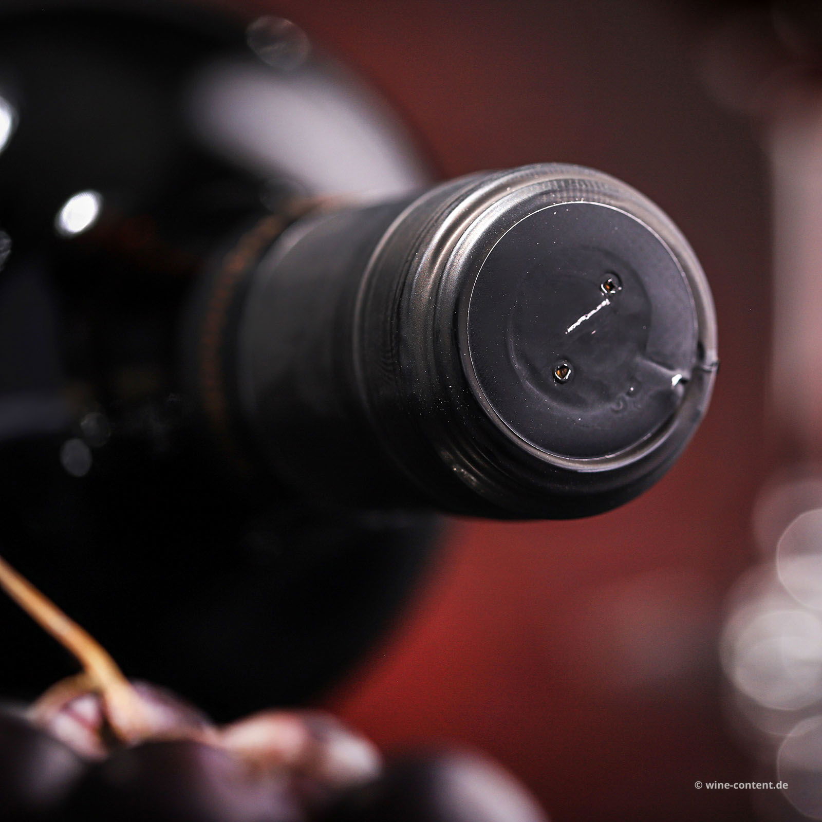 Susumaniello 2023 Susumaniello 2023