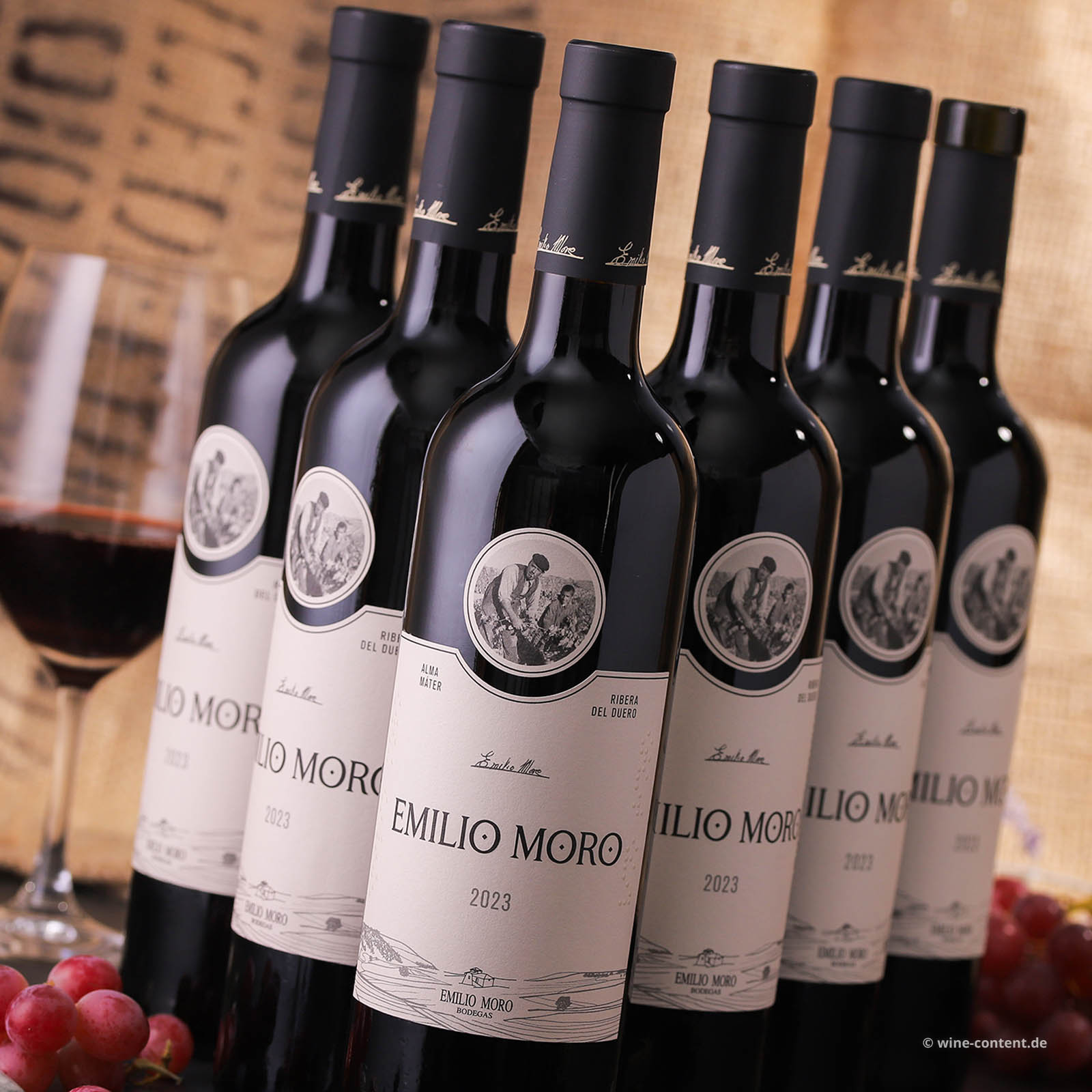 6er-Sparpaket Tempranillo 2023 Emilio Moro