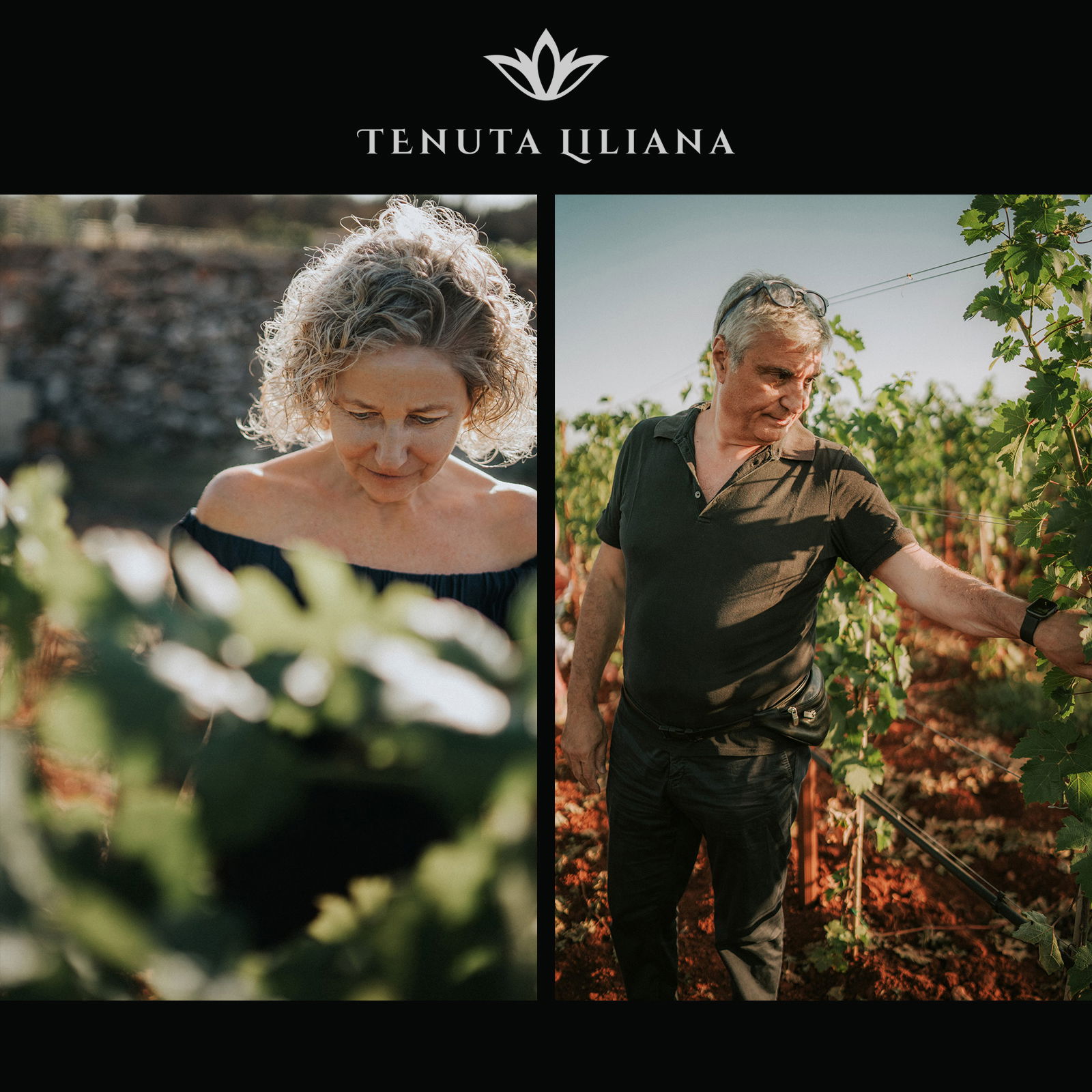 Cabernet Sauvignon Salento 2023