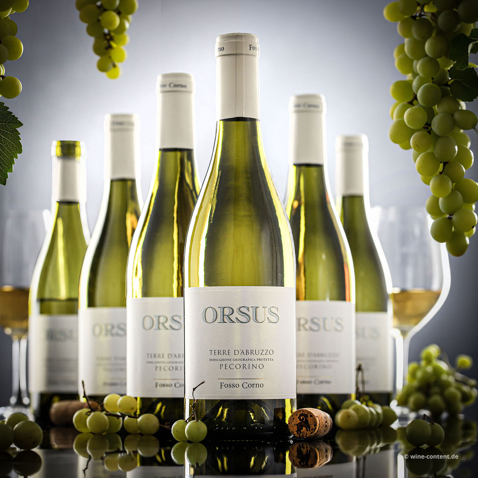 6er-Sparpaket Pecorino Abruzzo 2025 Orsus