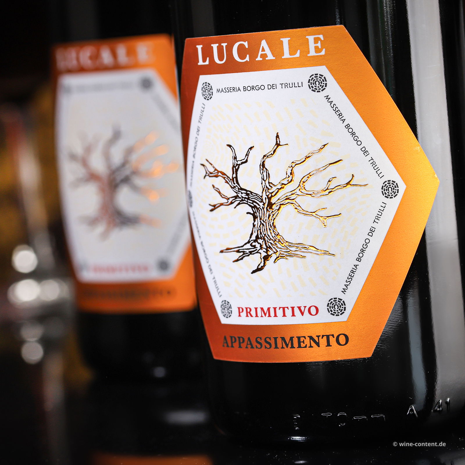 Primitivo Appassimento 2023 Lucale Primitivo Appassimento 2023 Lucale