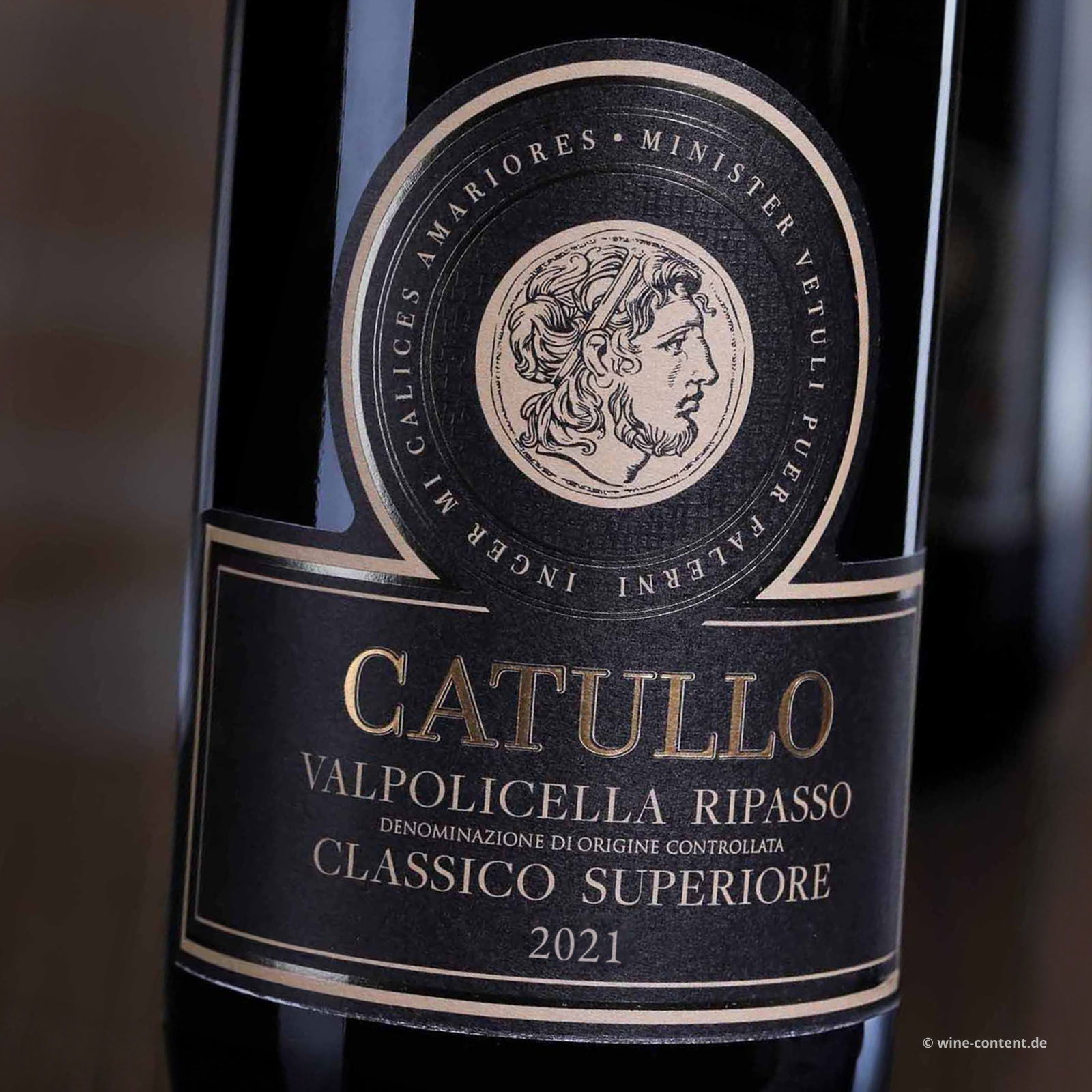 Valpolicella Ripasso Classico Superiore 2021 Catullo