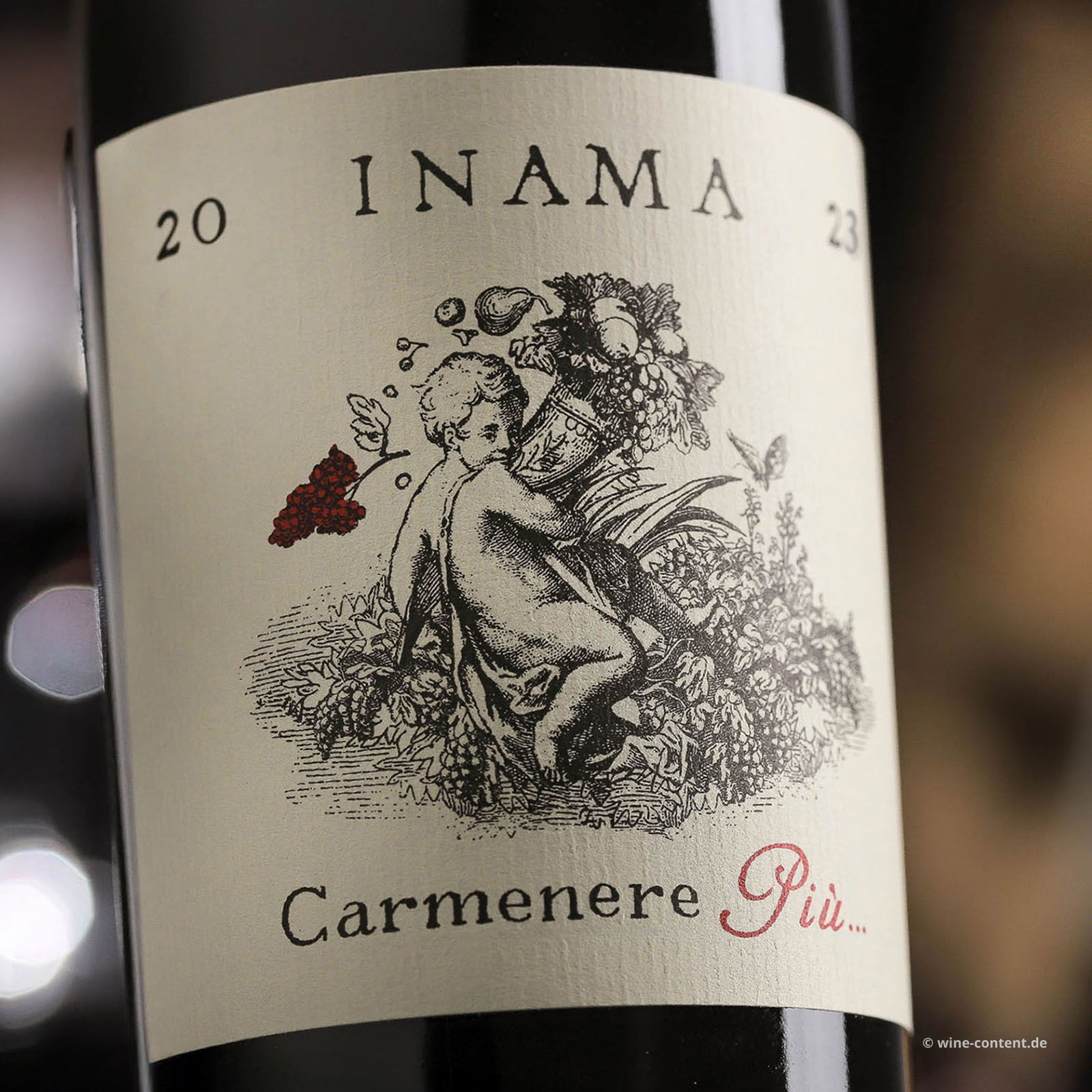 Carmenere Più 2023