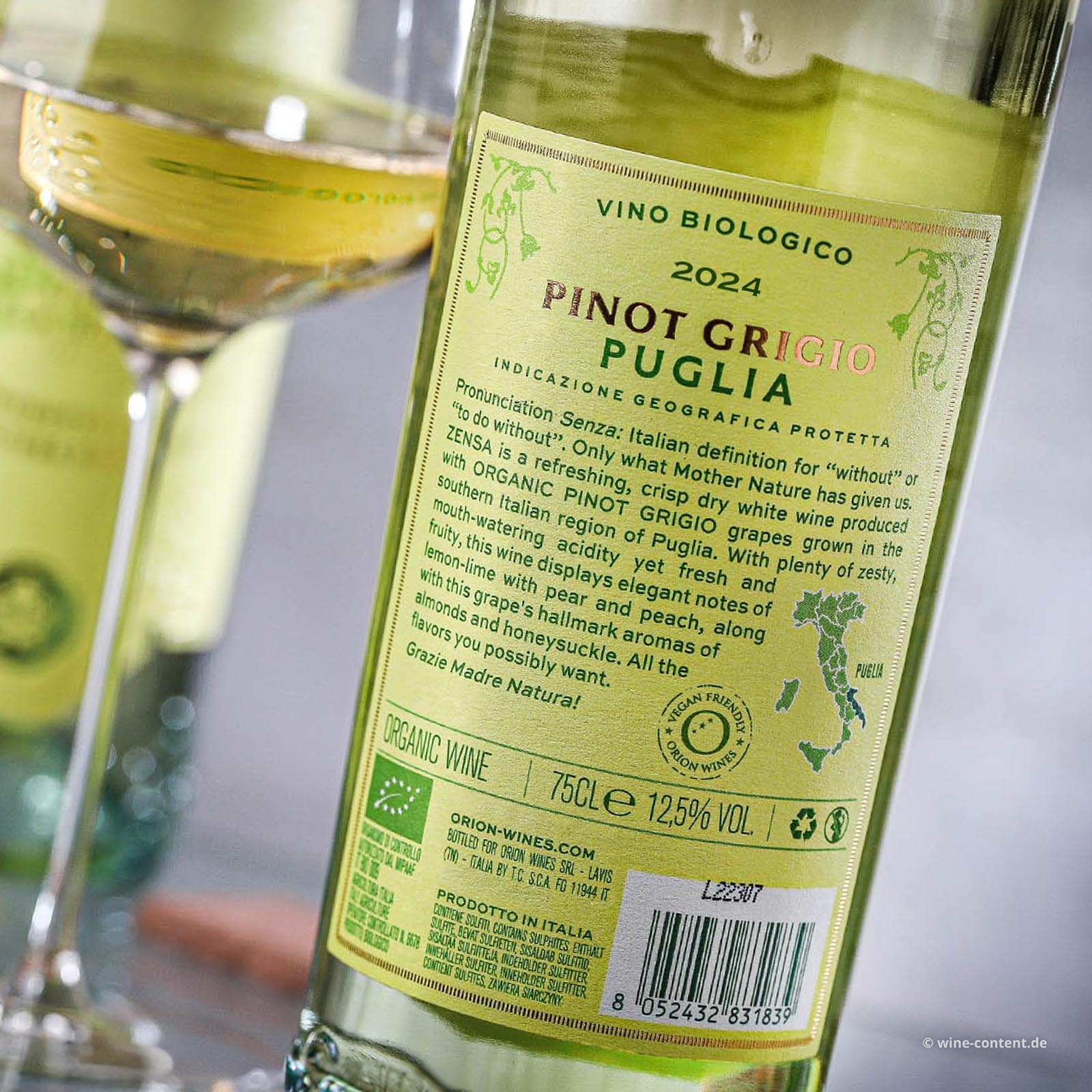 Pinot Grigio 2024 Bio