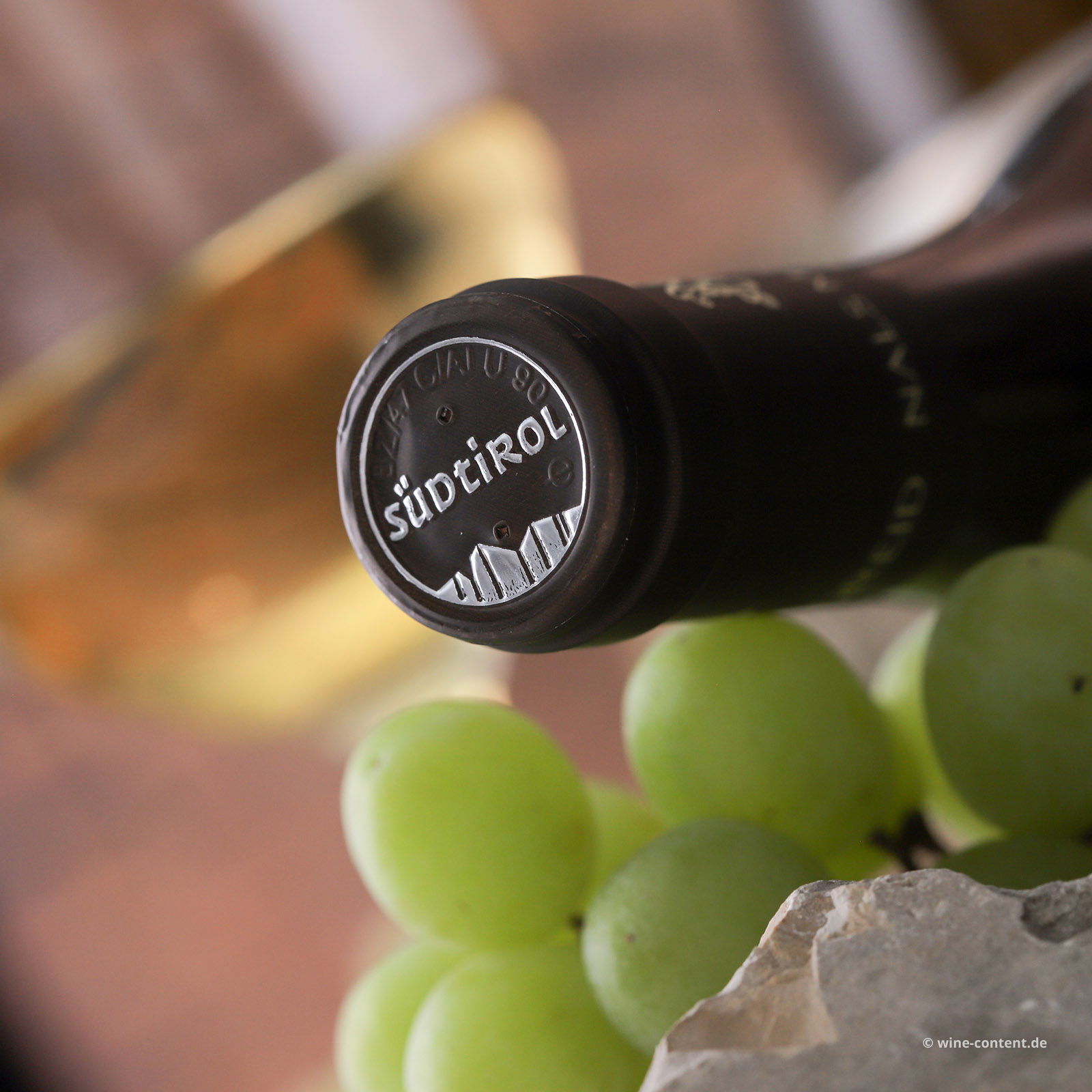 6er-Sparpaket Sauvignon Blanc 2025 Stein