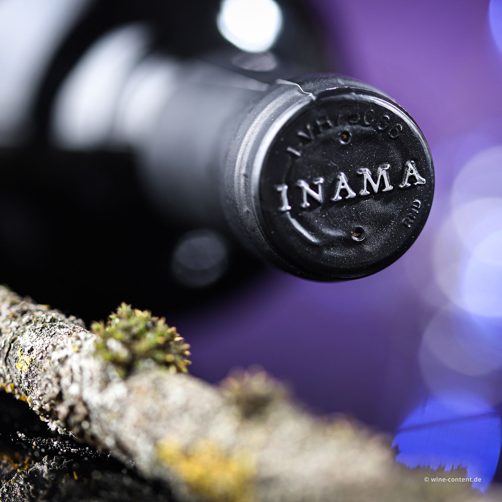 Merlot 2022 Campo del Lago