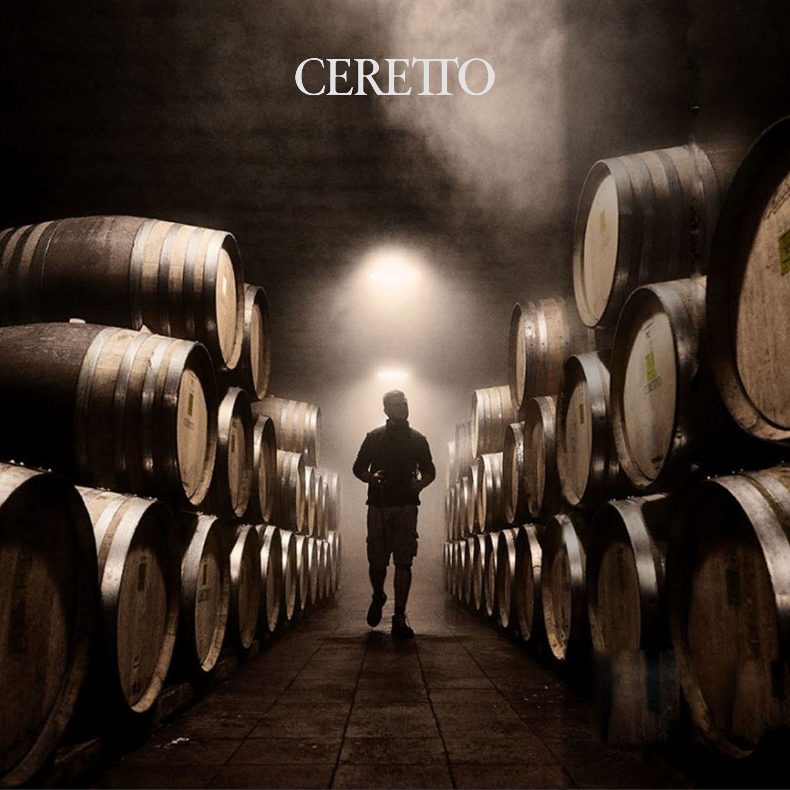 Barbera d'Alba 2023 Piana Bio