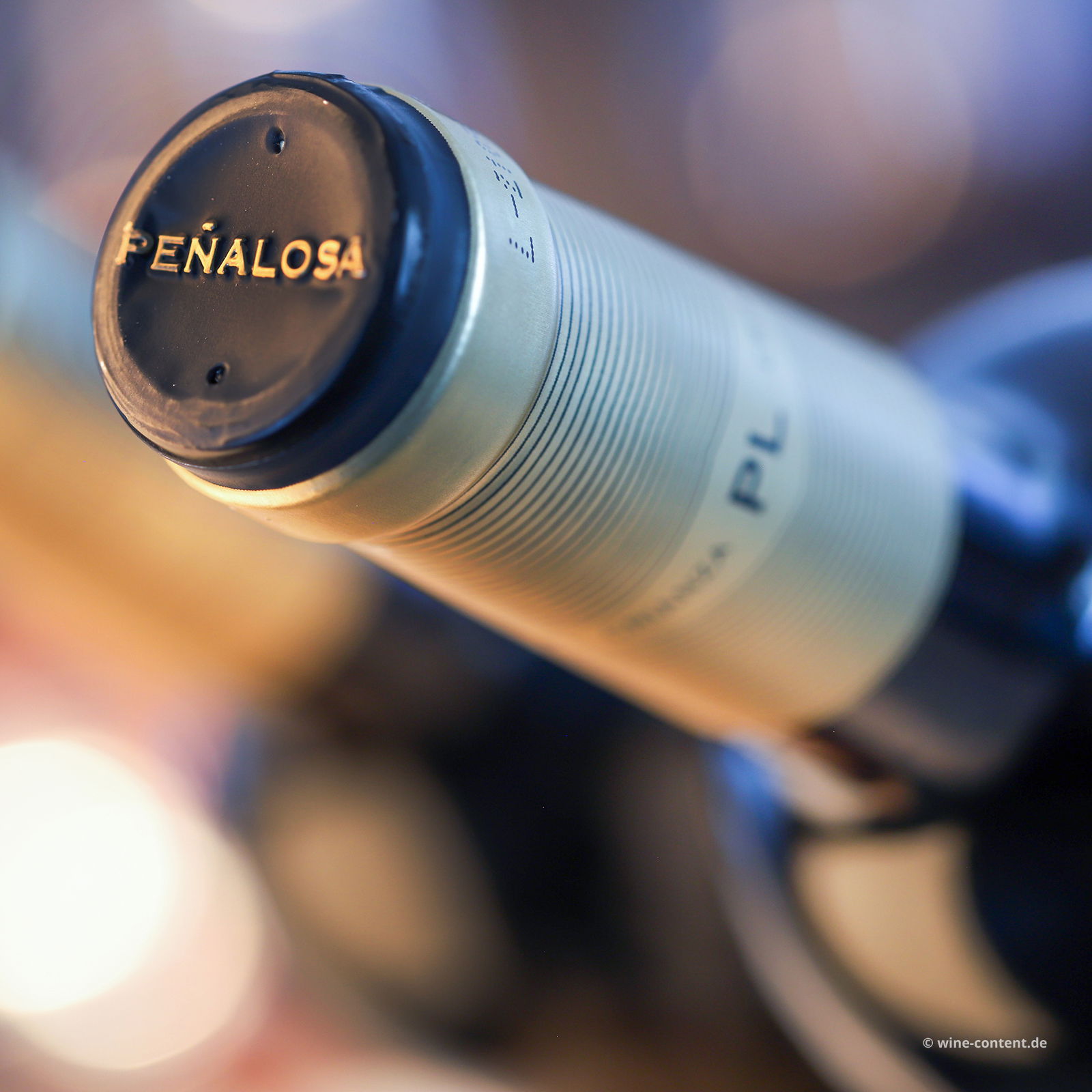 Tempranillo Crianza 2019 Peñalosa