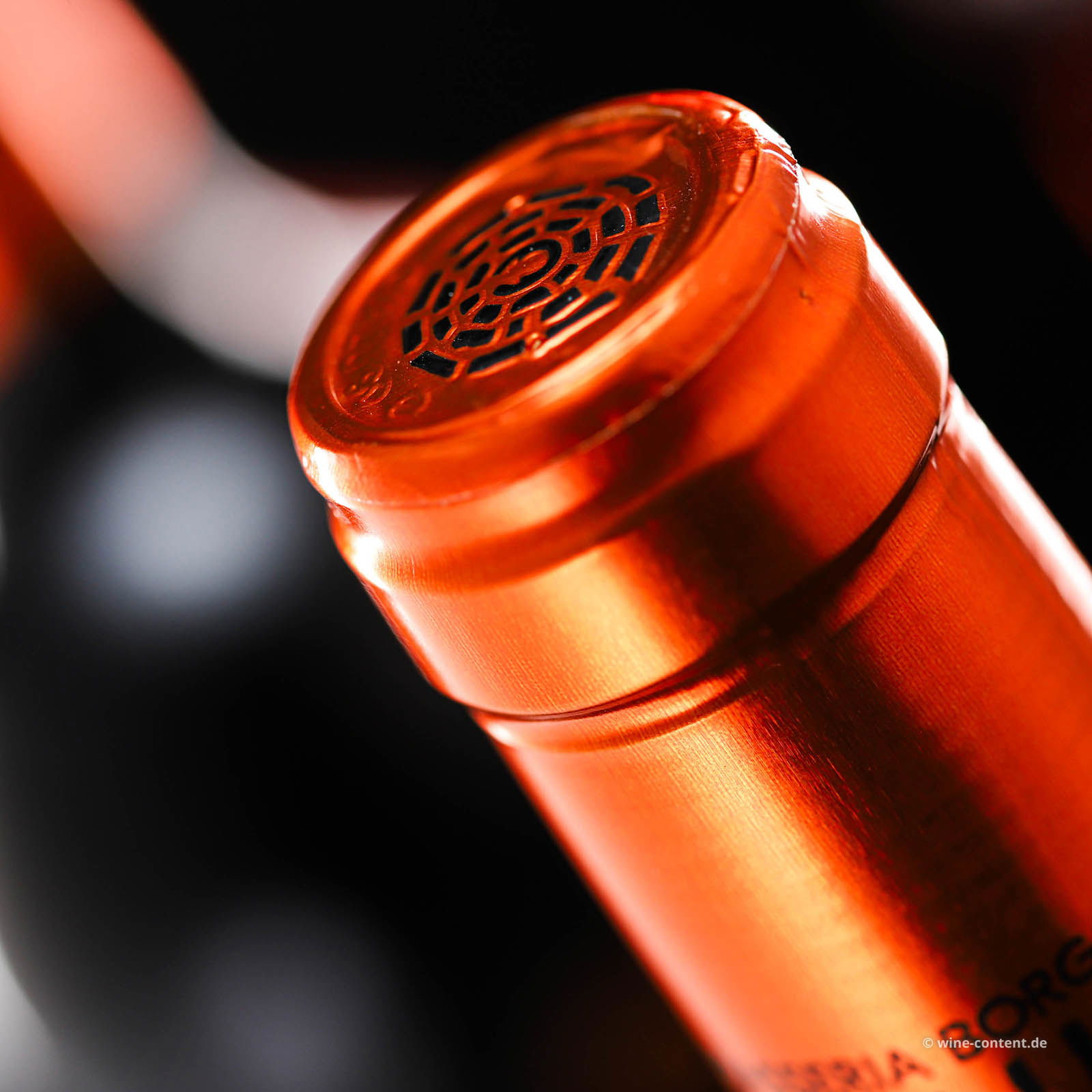 Primitivo Salento 2023 Saracena Primitivo Salento 2023 Saracena