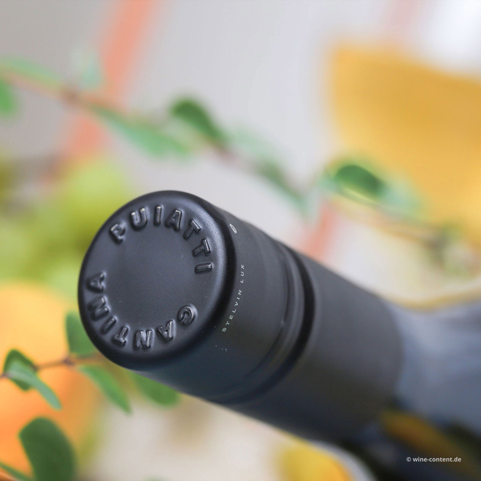 Traminer Aromatico 2024