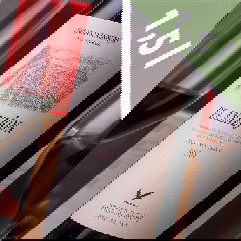 El Anejón 2021 Magnum